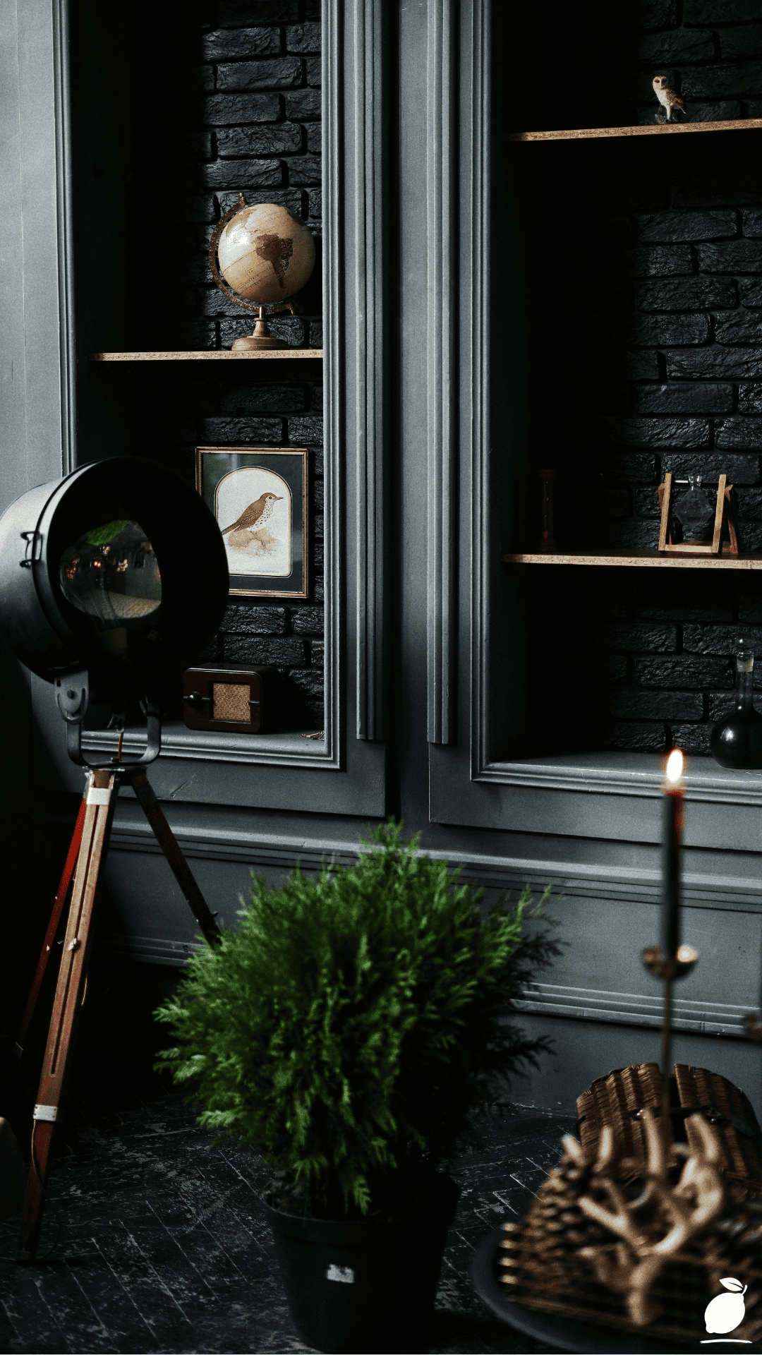 I Fixed My House With Moody Paint Colors