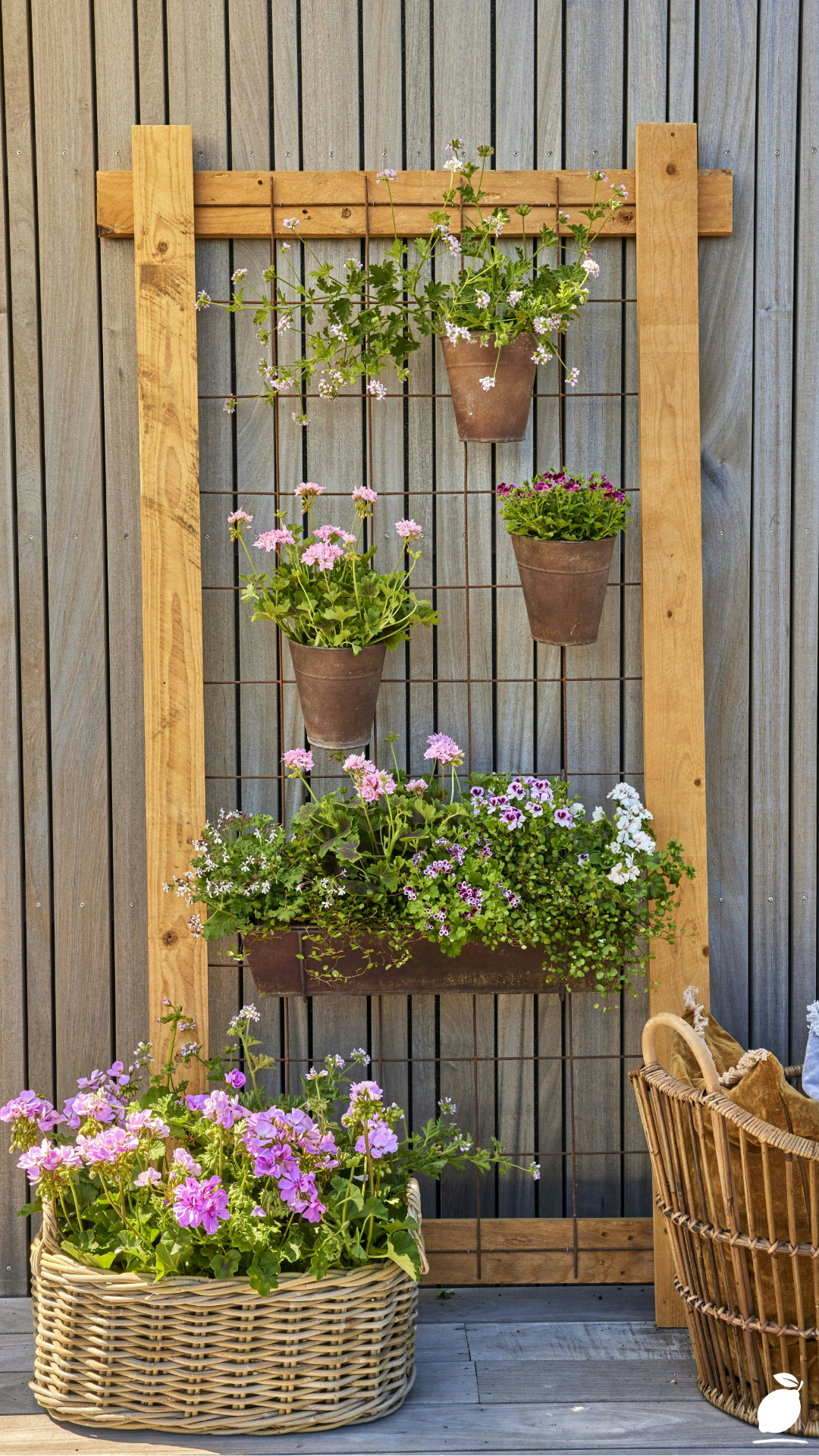 How I Turned My Wall with a Vertical Herb Garden