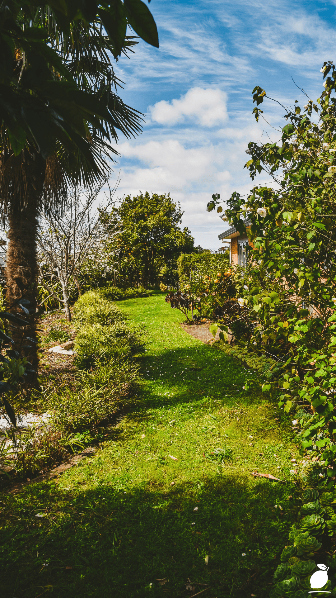 How I Transformed My Yard with Simple Home Garden Ideas