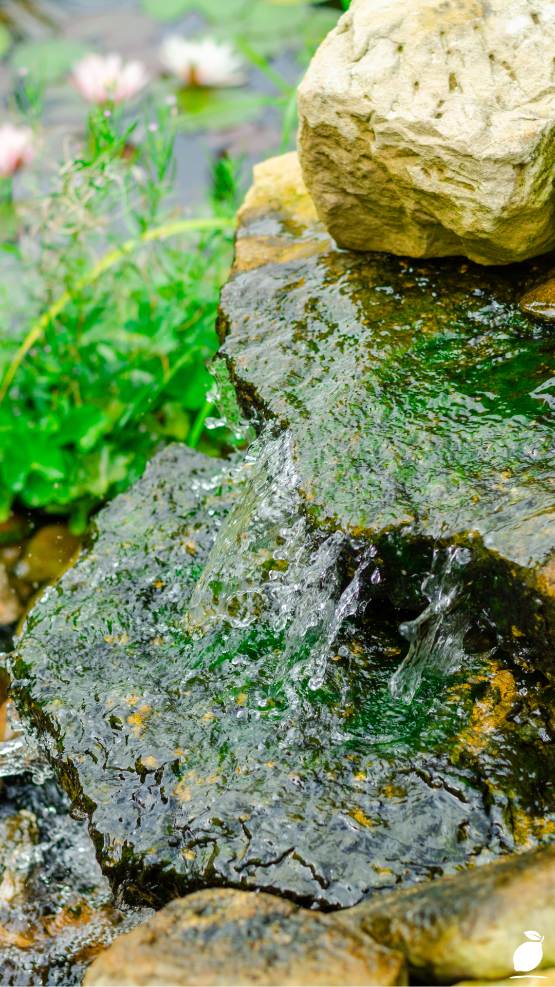 I Styled My Exterior Using Pondless Waterfall Ideas