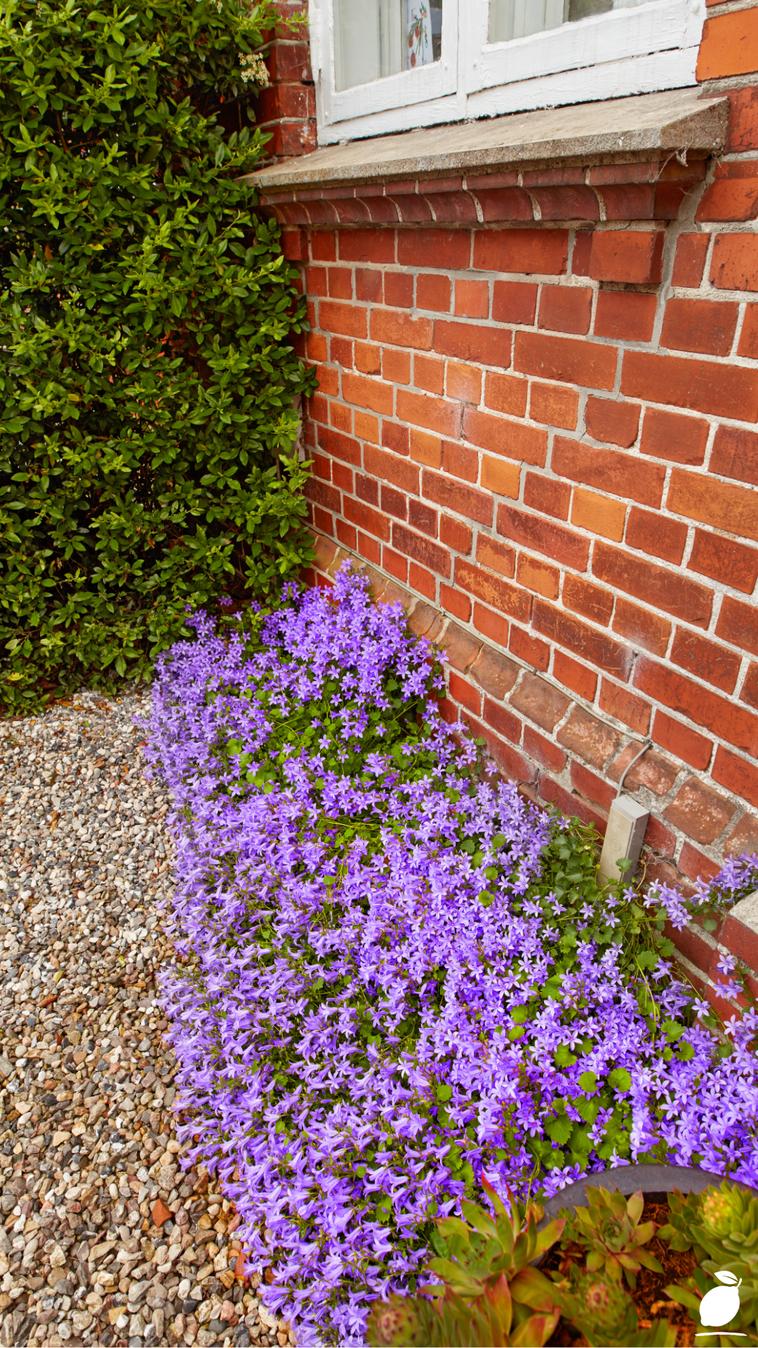 How I Transformed My Pathway: Simple Narrow Side Yard Landscaping Ideas