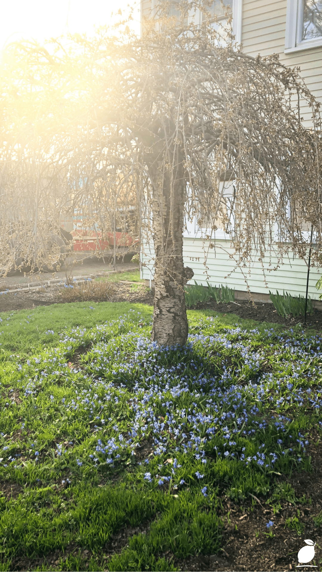 I Upgraded My Home with Flower Beds Front Yard Garden Design