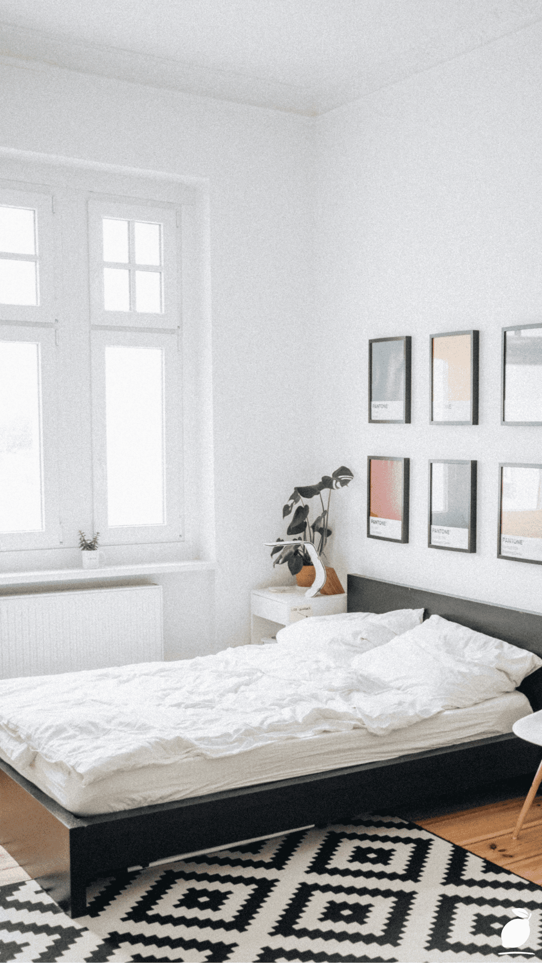 How I Used Studio Apartment Decor Ideas for a Cozy Vibe