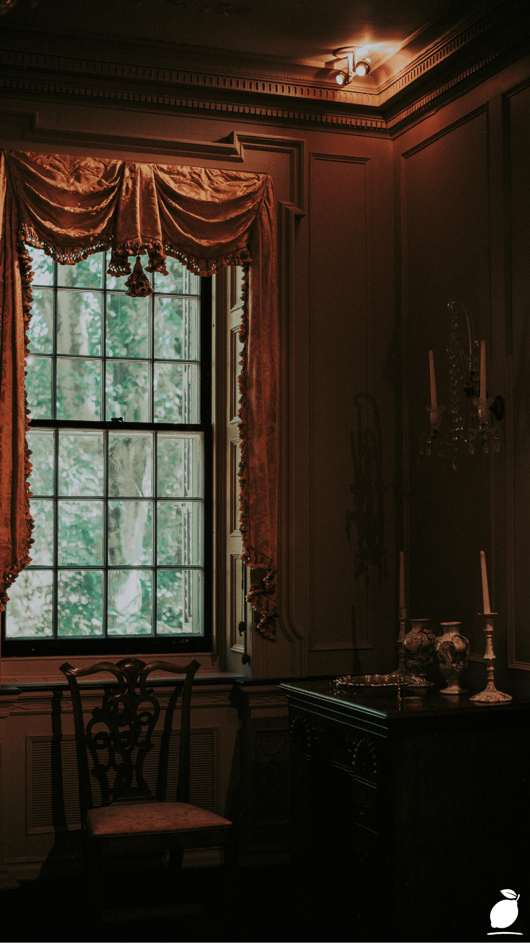 Whimsigoth Room Rules: Crafting a Whimsigothic Living Room