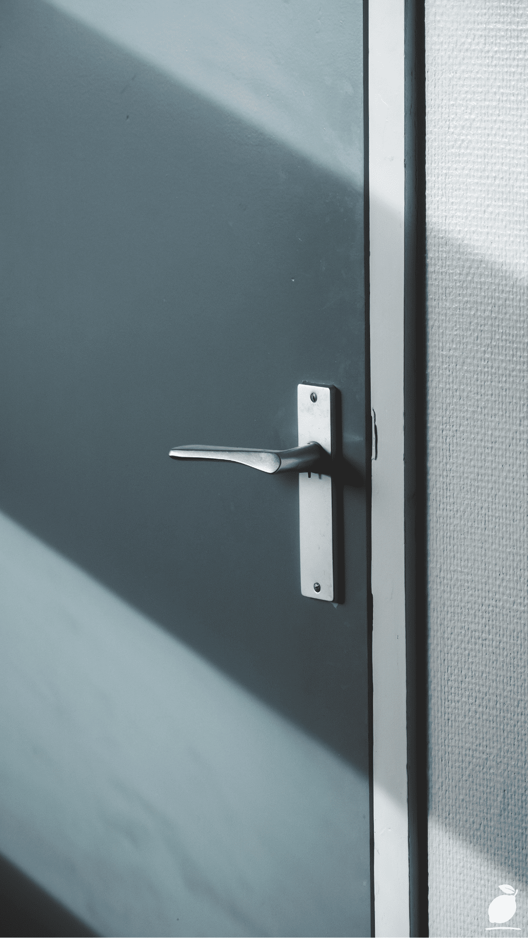 Should Interior Doors Be The Same Color as The Walls