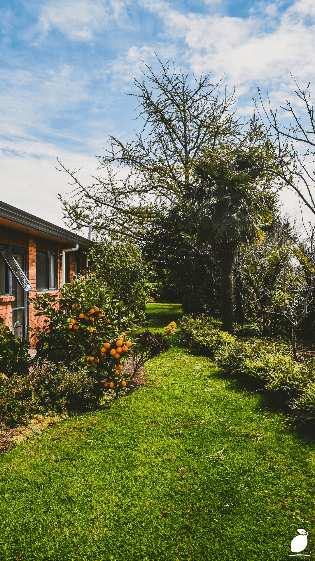 How I Transformed My Yard with Simple Home Garden Ideas