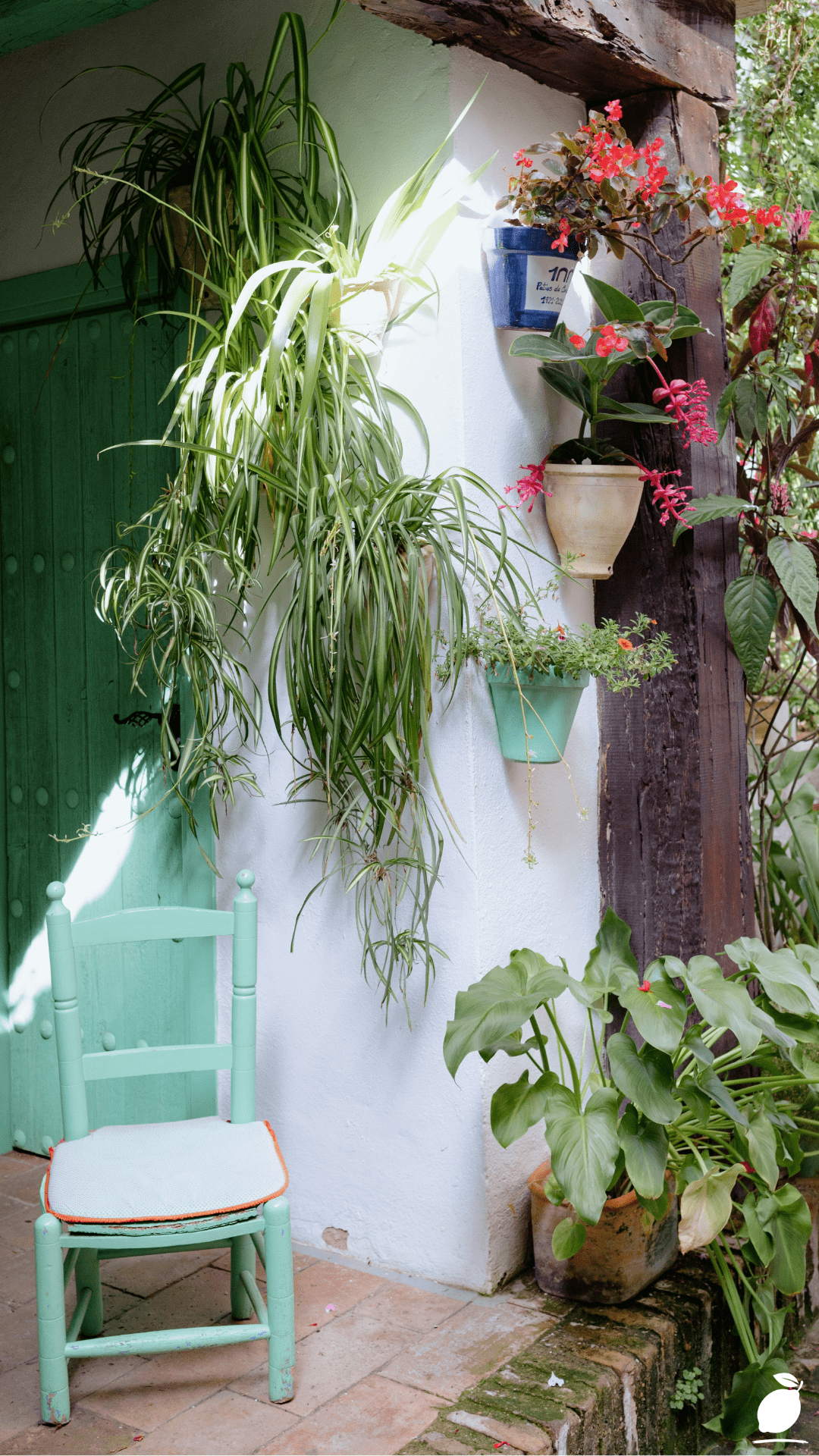 I Styled My Exterior Using Patio Garden Ideas
