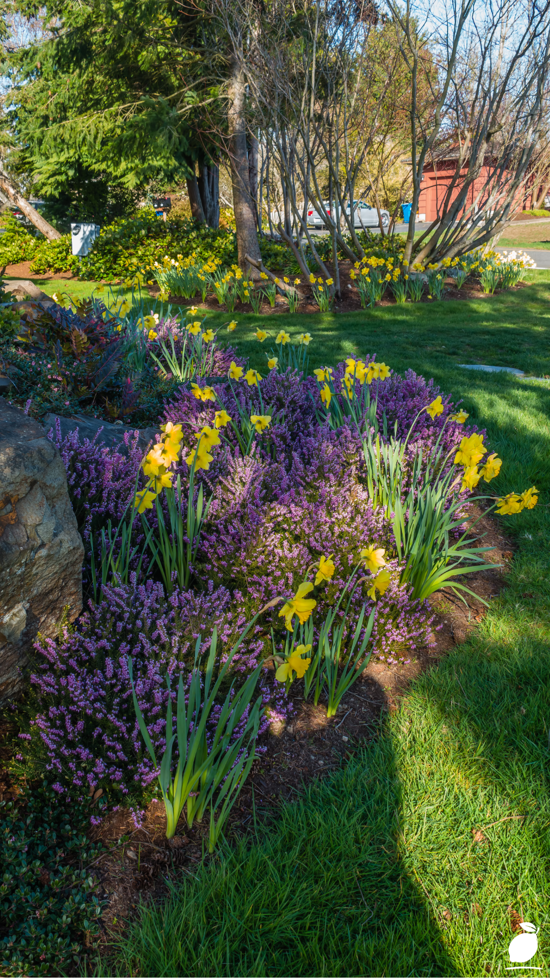 How I Made My Home with Flower Bed Mailbox Landscaping Ideas