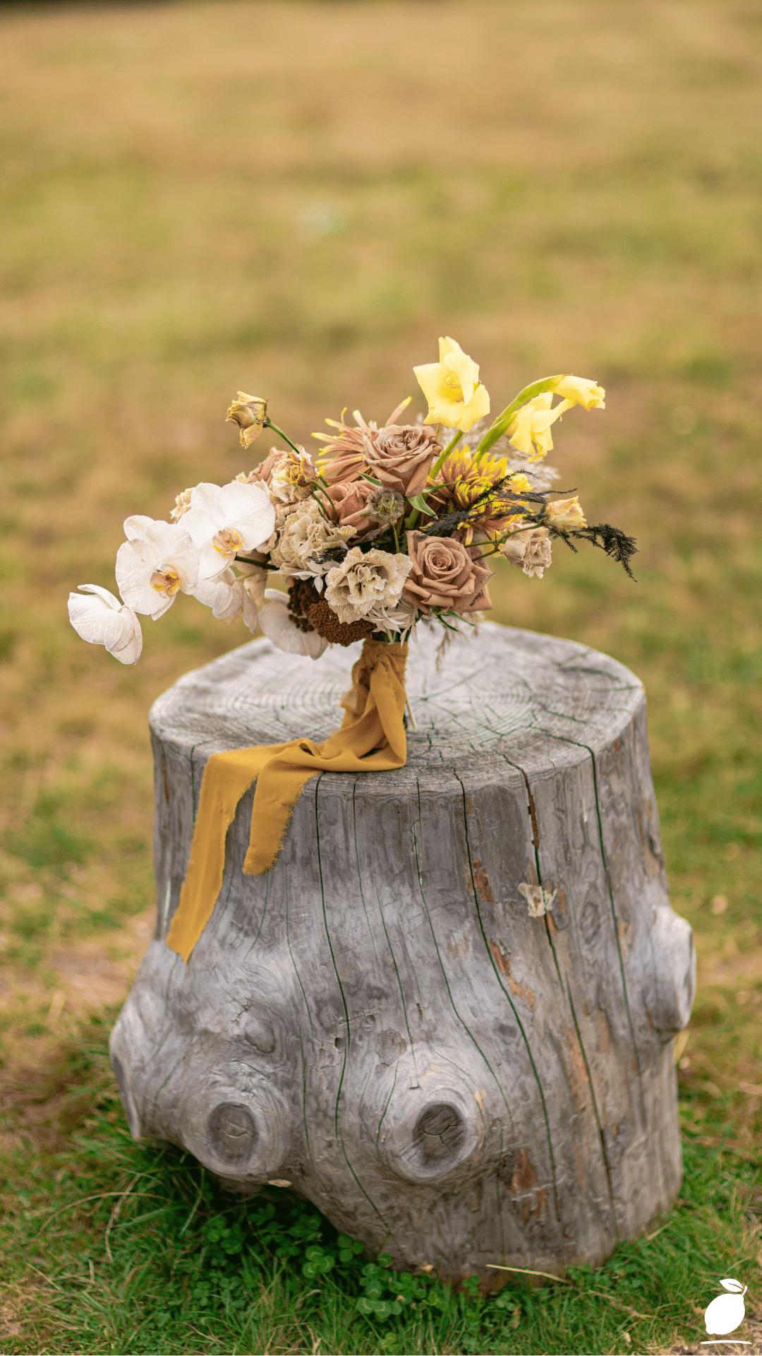 I Used Outdoor Front Yard Tree Stump Ideas