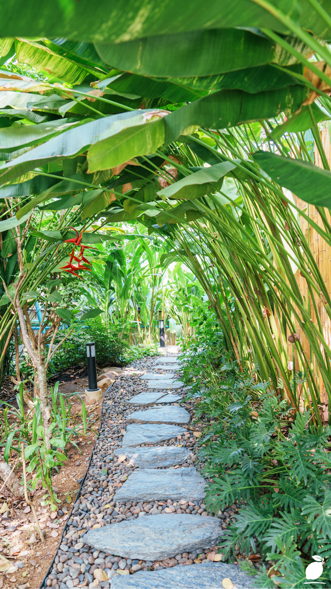 How I Transformed My Pathway: Simple Narrow Side Yard Landscaping Ideas