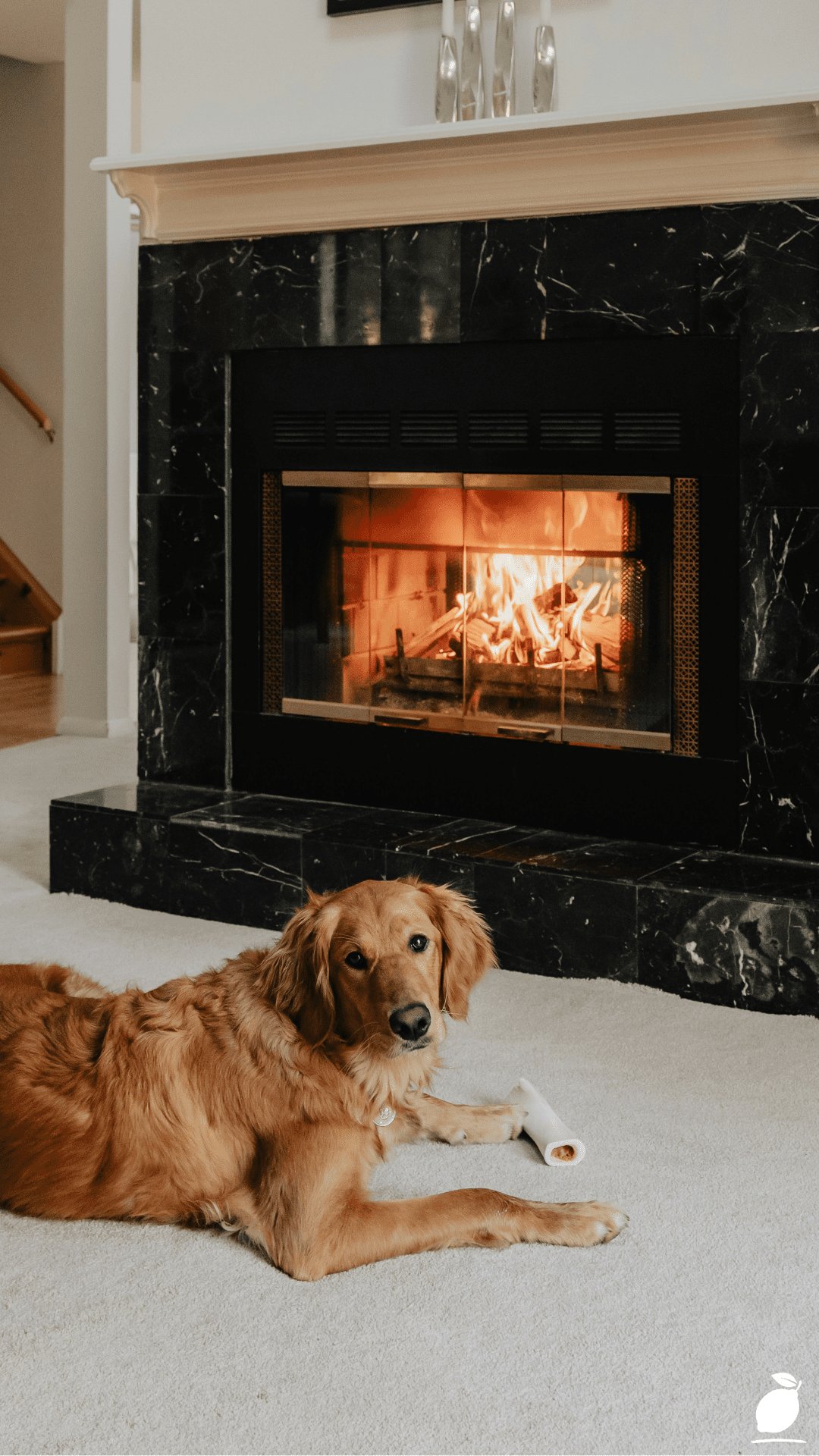 How I Turned My Mantel with Transitional Fireplace Decor Ideas