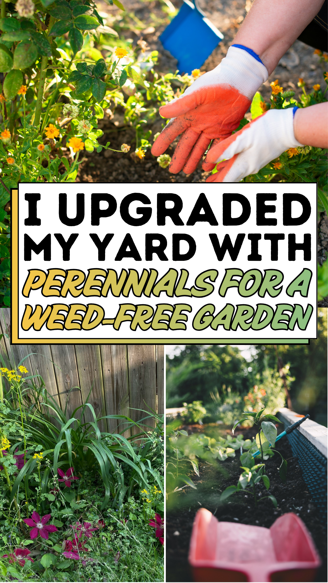 I Upgraded My Yard with Perennials for a Weed-Free Garden
