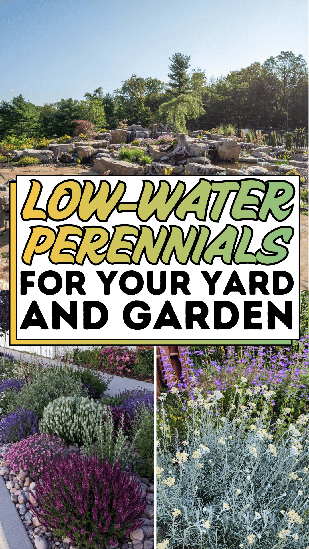 Low-Water Perennials for Your Yard and Garden