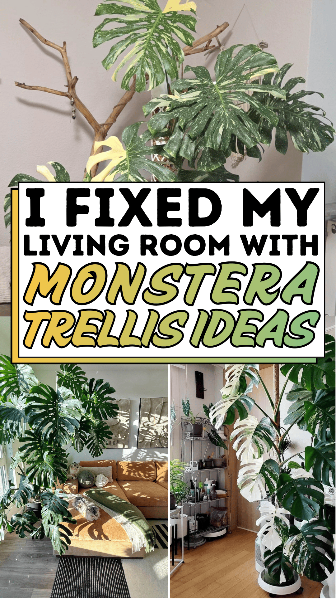 I Fixed My Living Room with Monstera Trellis Ideas