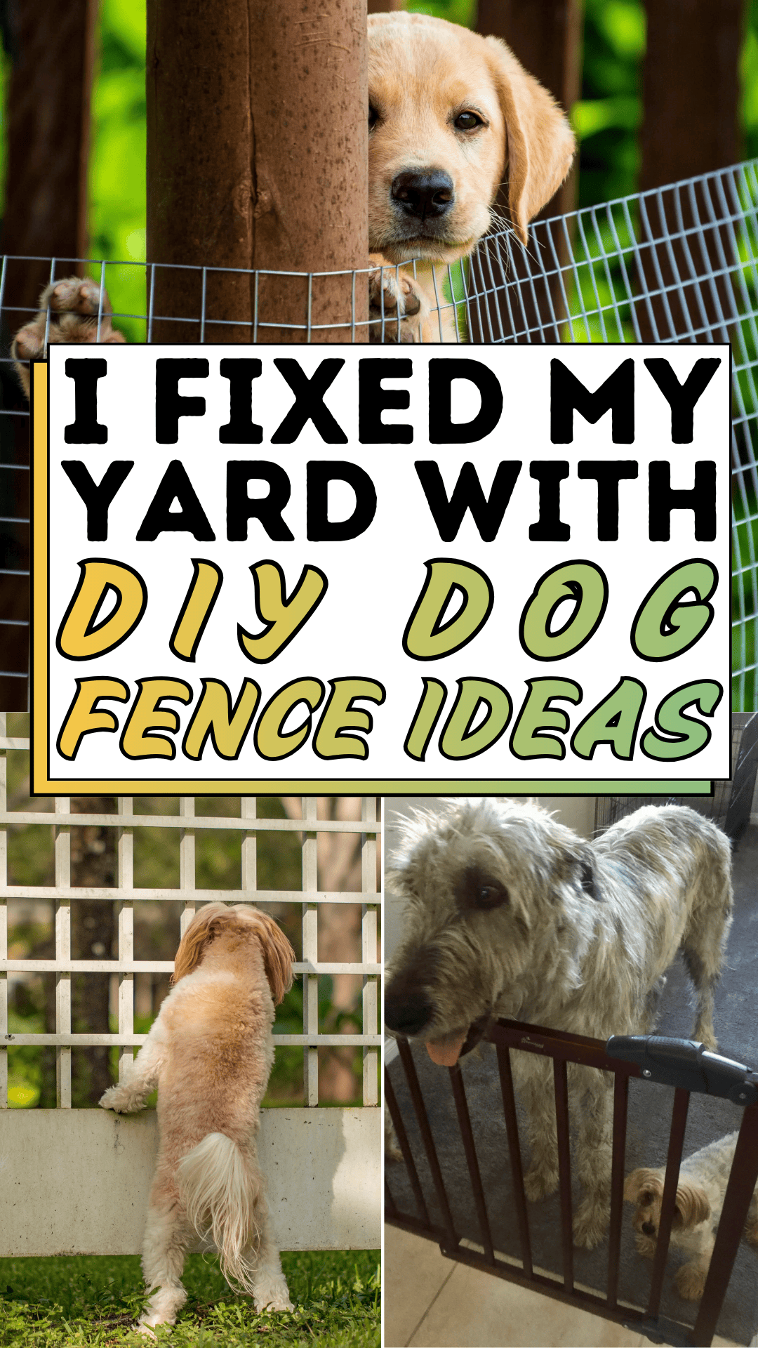 I Fixed My Yard with DIY Dog Fence Ideas