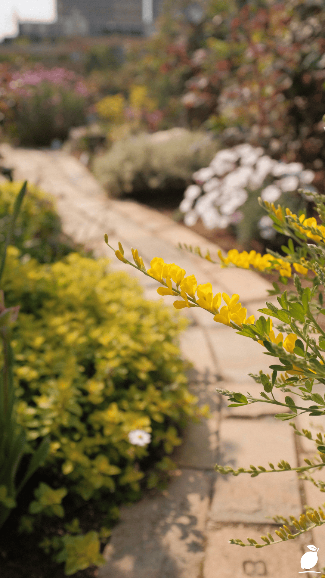 How To Install Paver Patio That Will Last