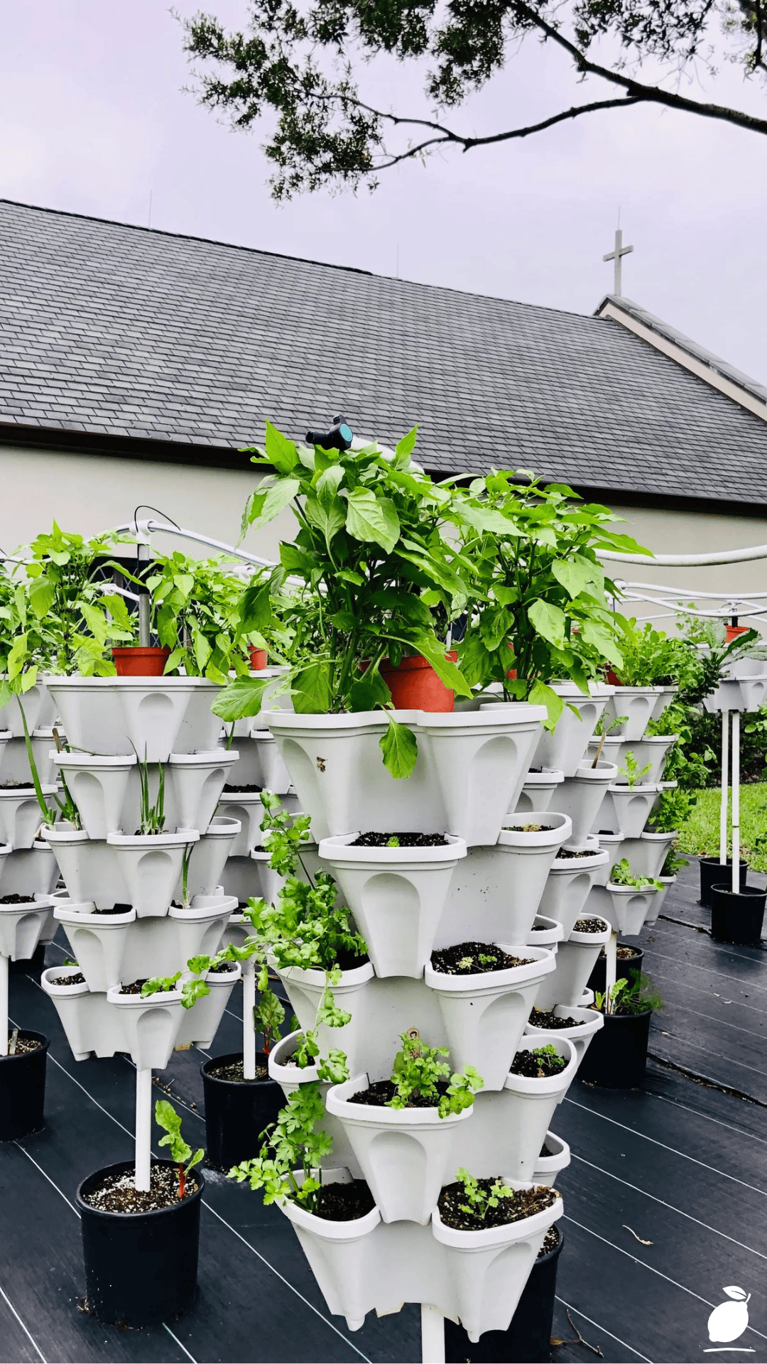 I Fixed My Yard with DIY Vertical Strawberry Planters