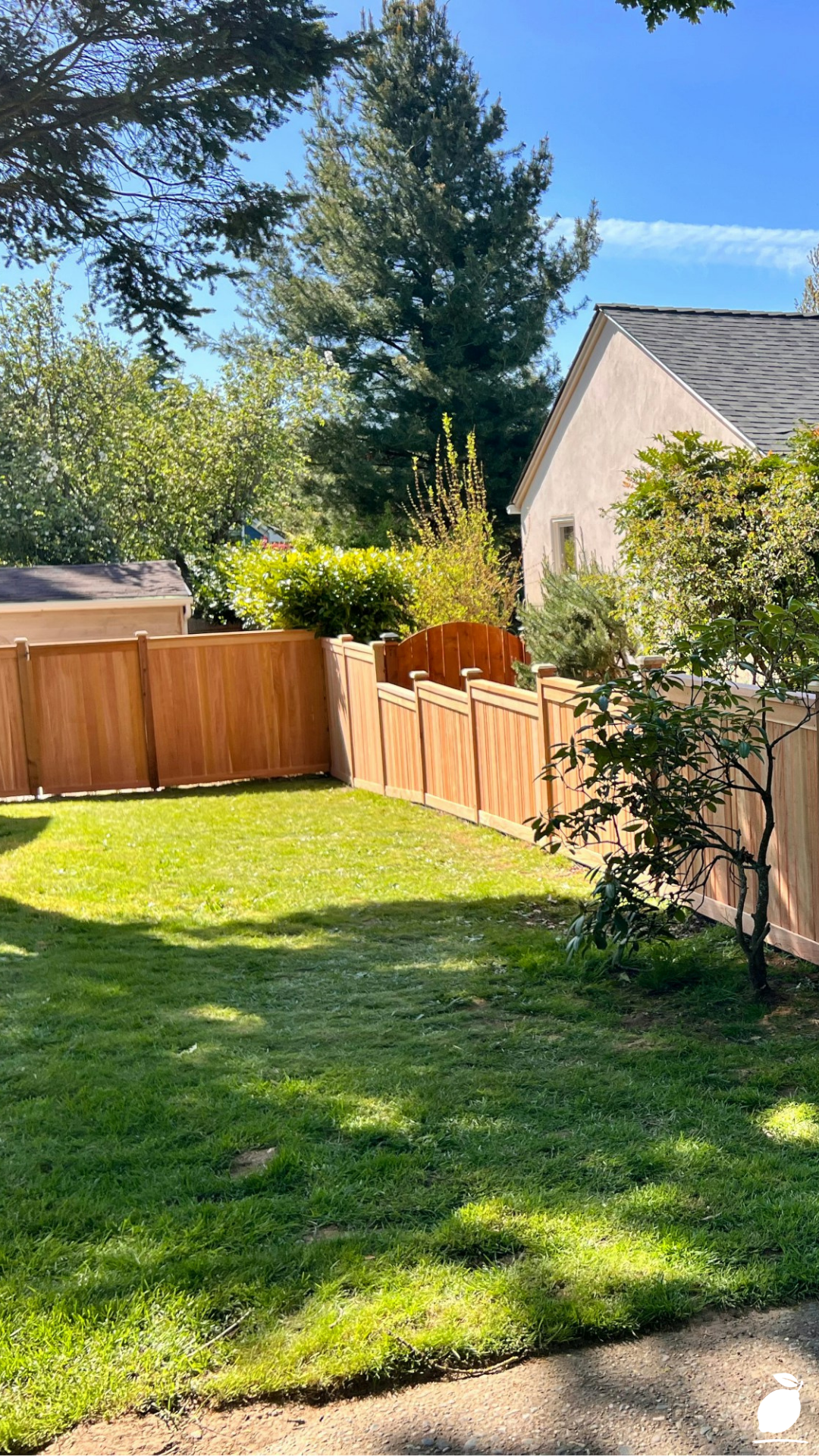 How I Used Backyard Privacy Fence Ideas