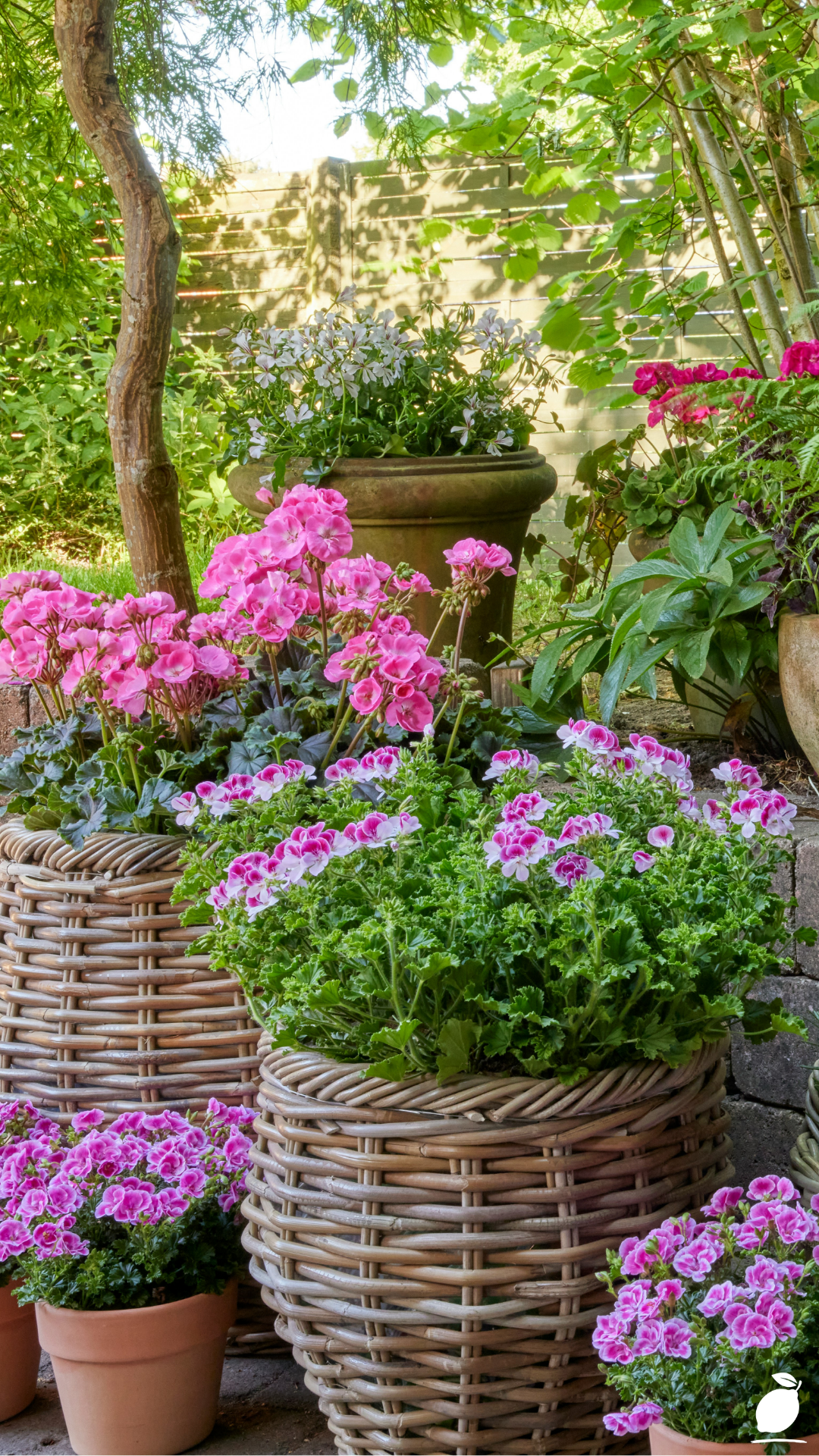 I Fixed My Porch with Flowers Container Garden Ideas