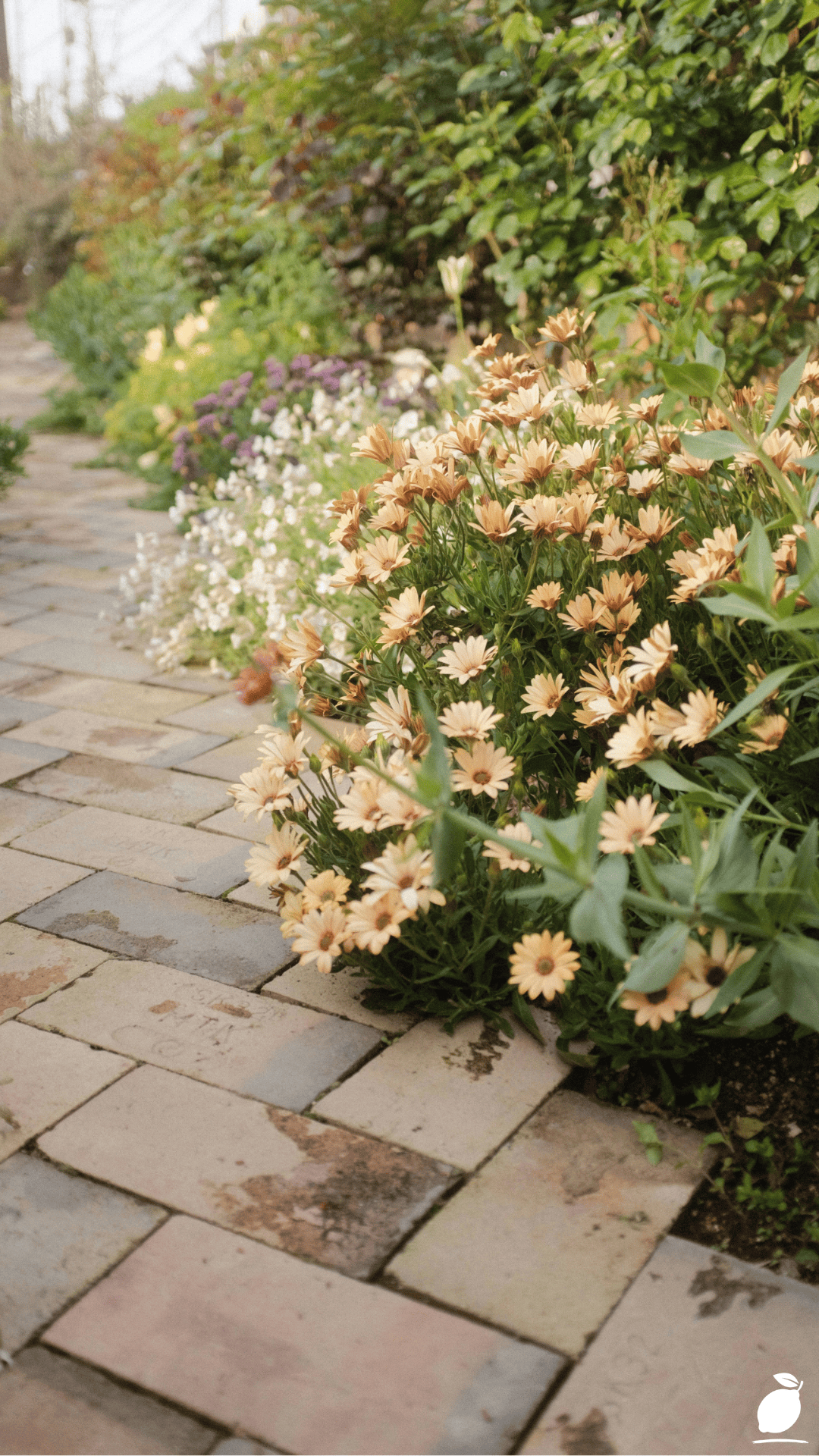 How To Install Paver Patio That Will Last