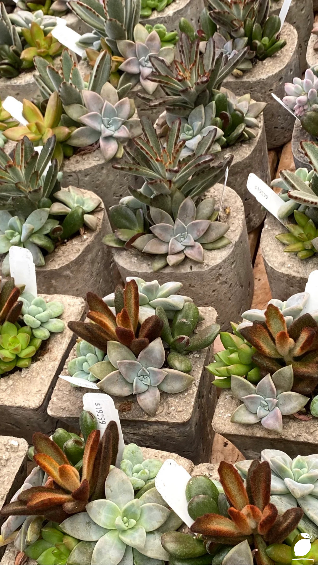 How to Get a Custom Look Using DIY Cinder Block Ideas