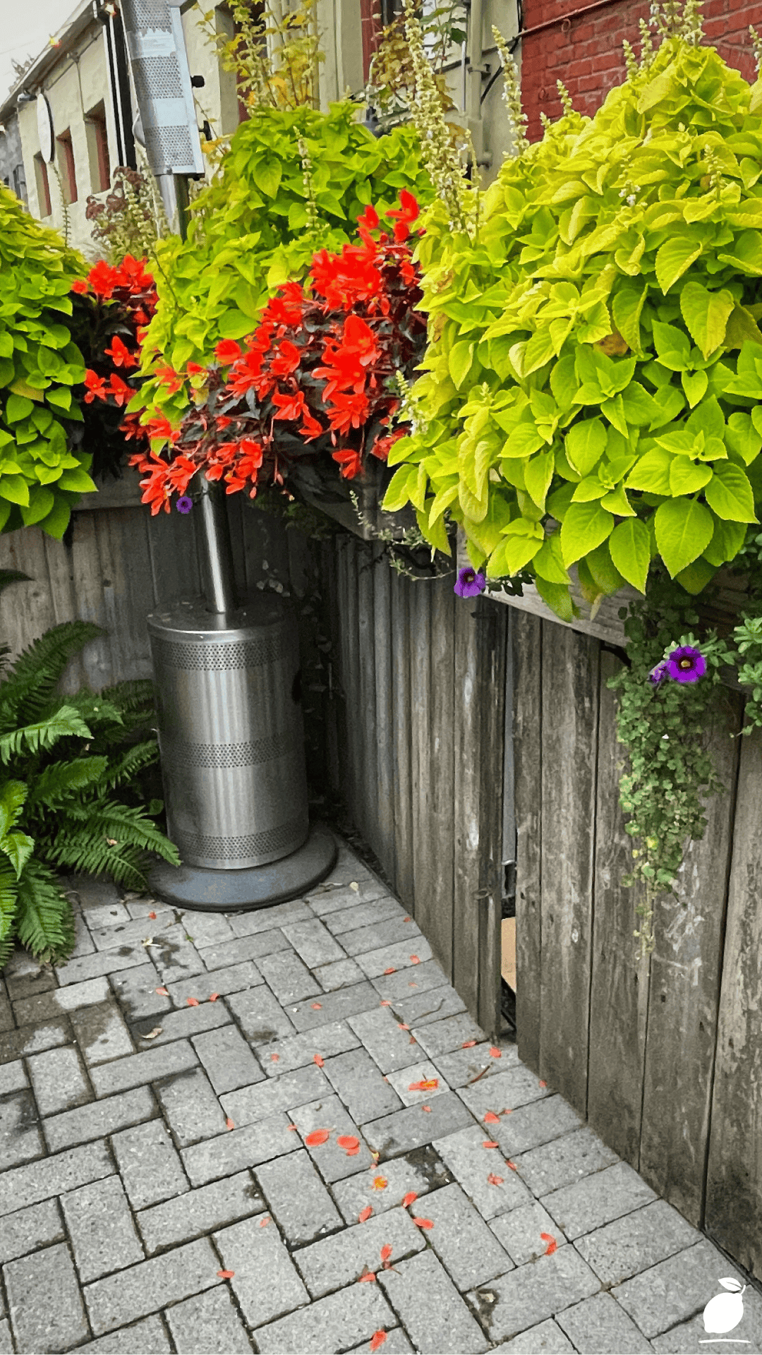 I Fixed My Porch with Flowers Container Garden Ideas