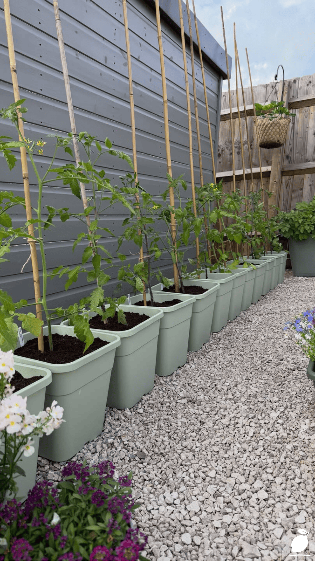 I Upgraded My Patio with Vegetables Container Gardening Ideas