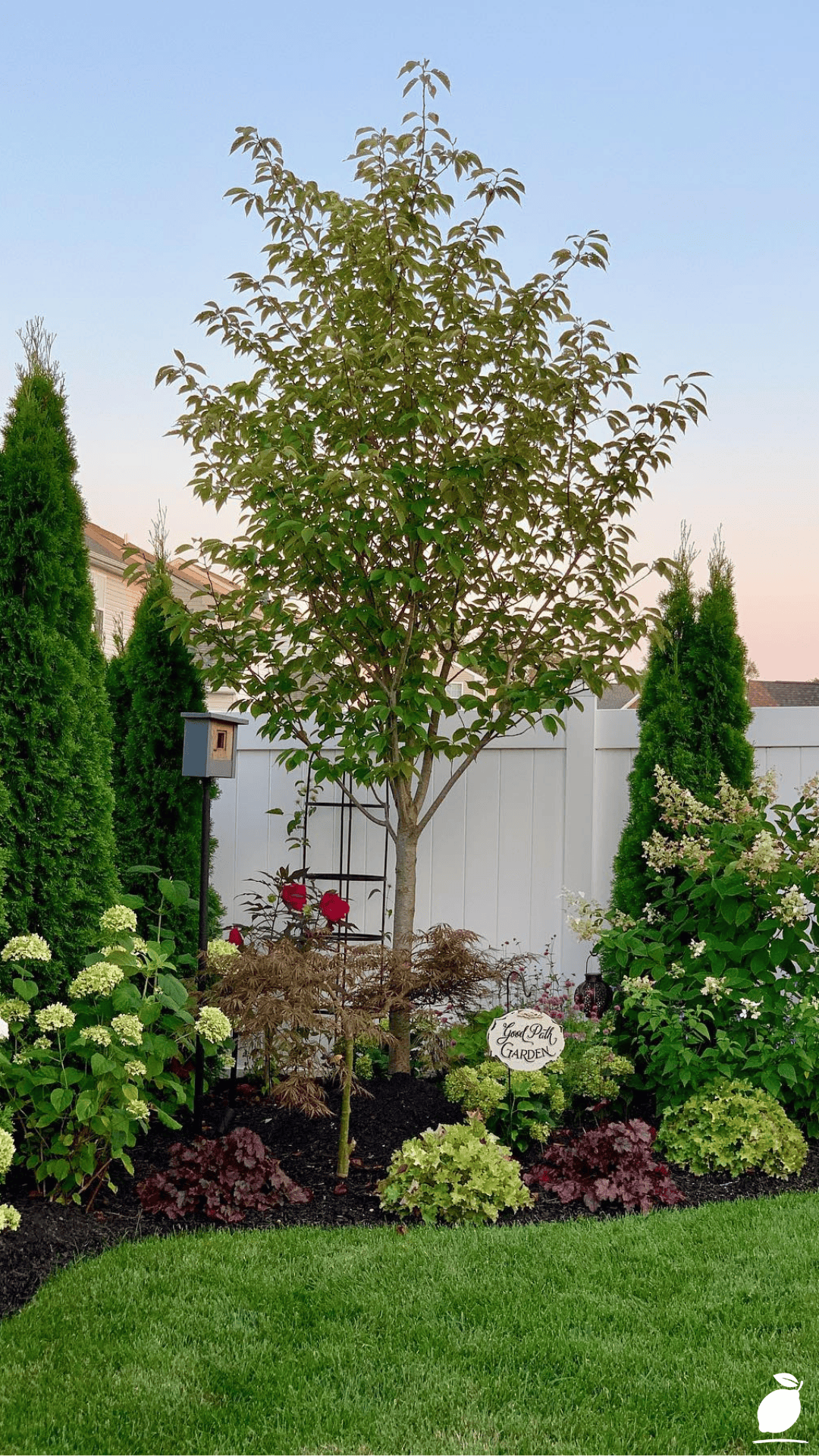 How I Used Backyard Corner Garden Ideas