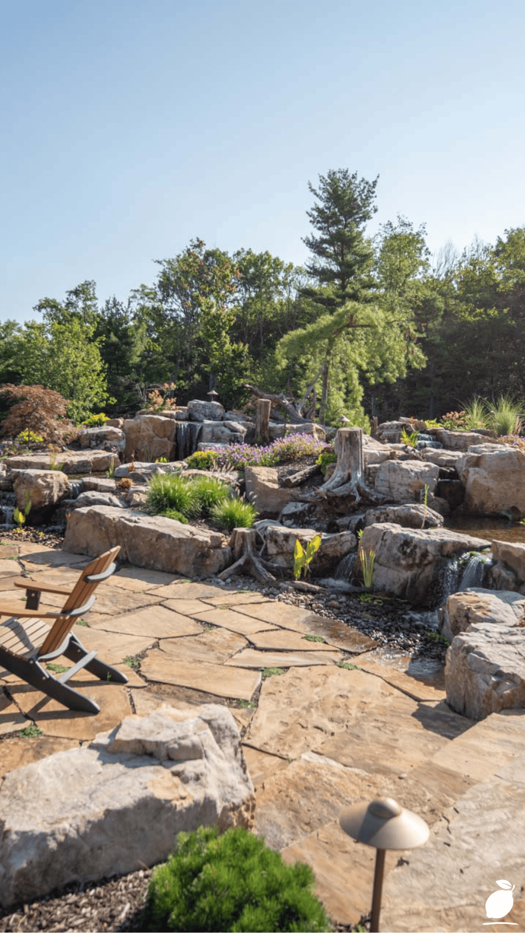 Low-Water Perennials for Your Yard and Garden