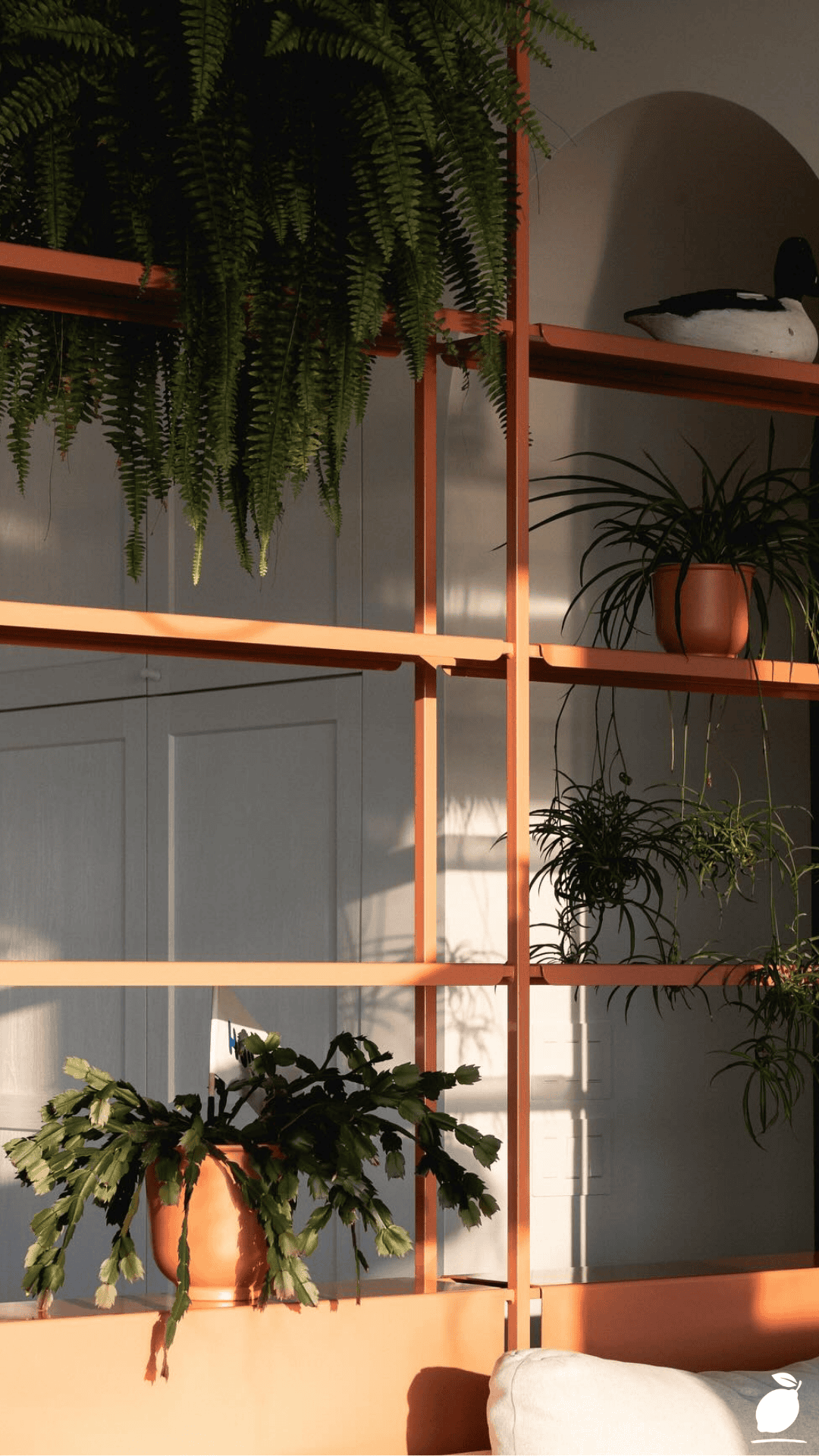 DIY Plant Wall Divider That Transforms Any Room