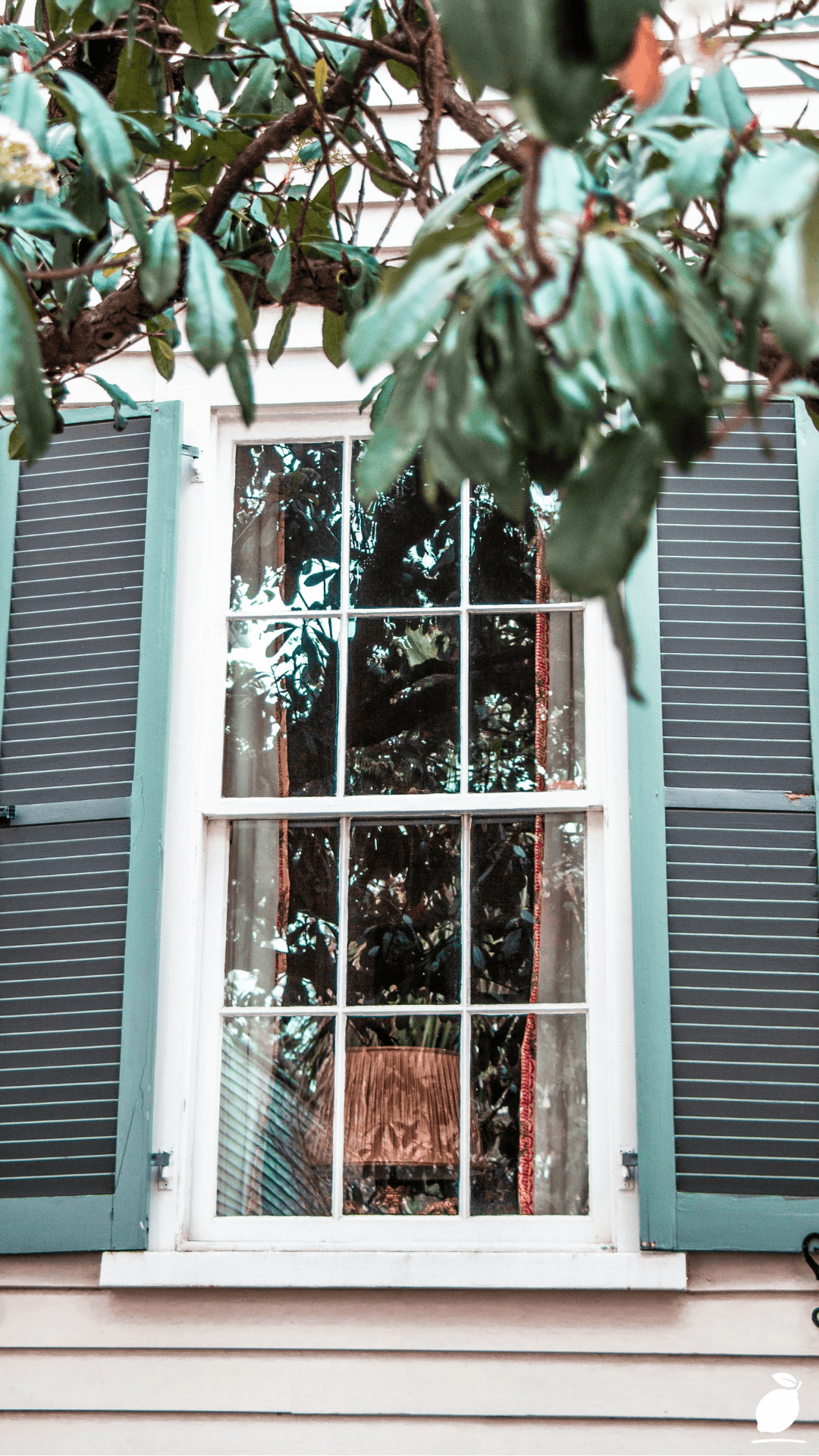 How To Paint Vinyl Shutters