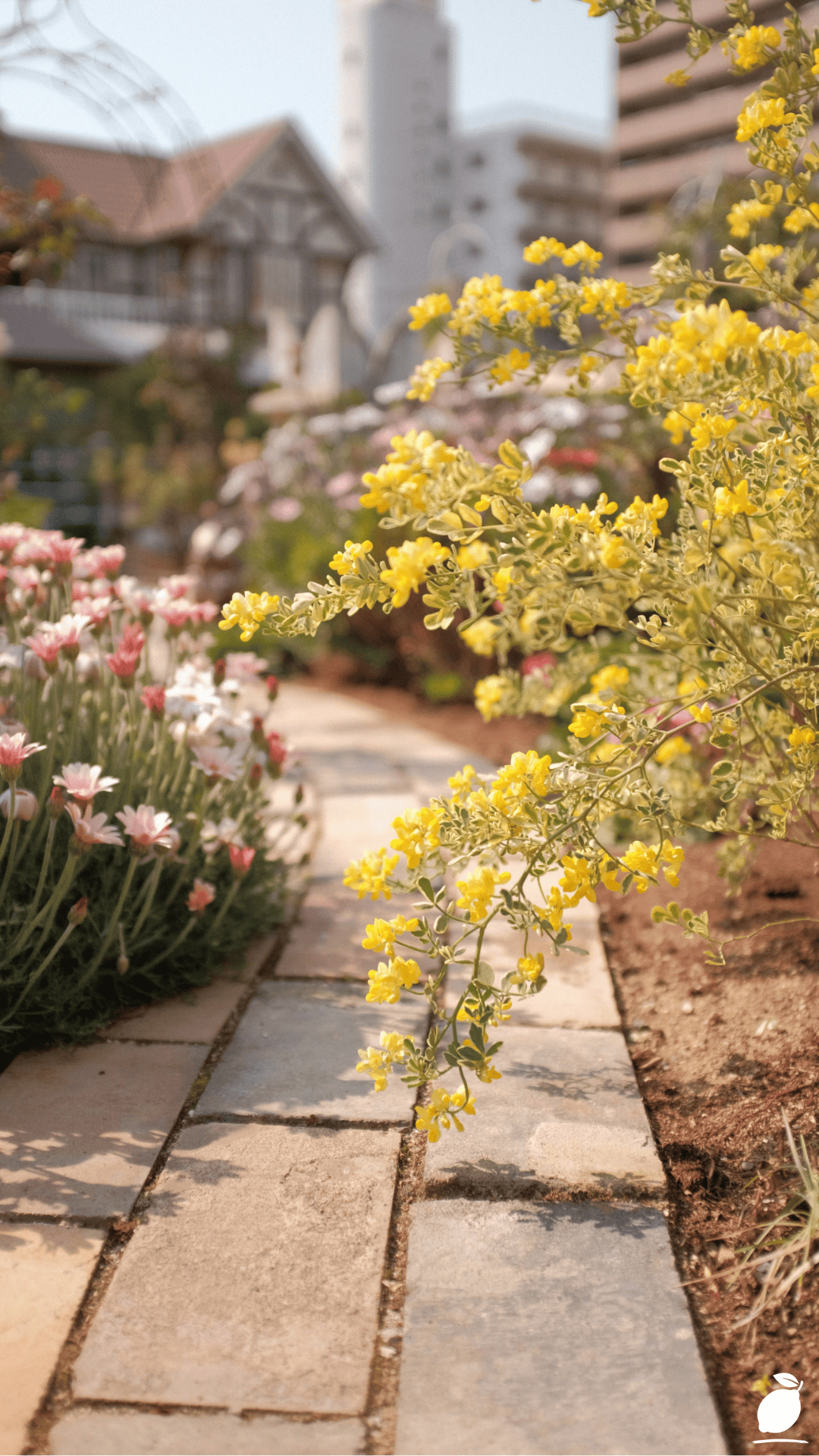 How To Install Paver Patio That Will Last