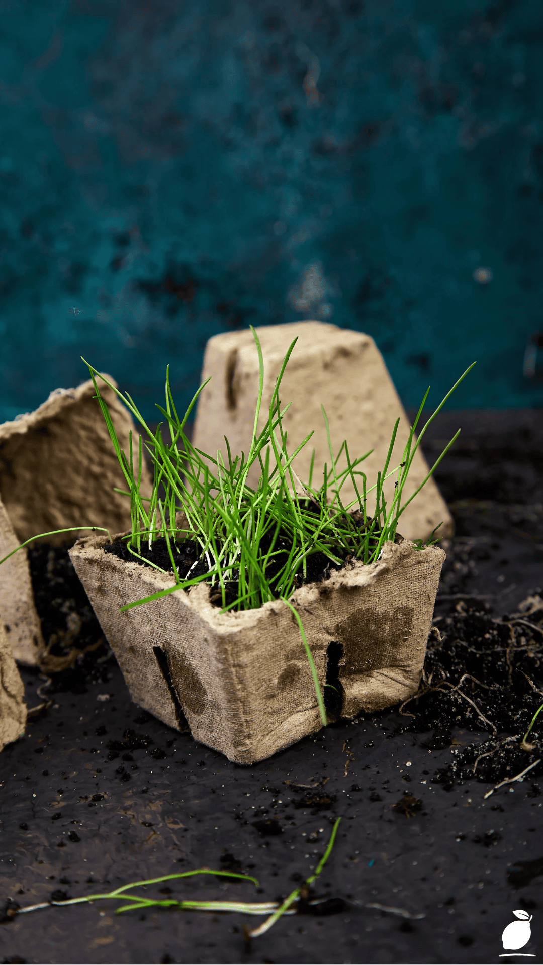 How to Get a Custom Look Using DIY Cinder Block Ideas