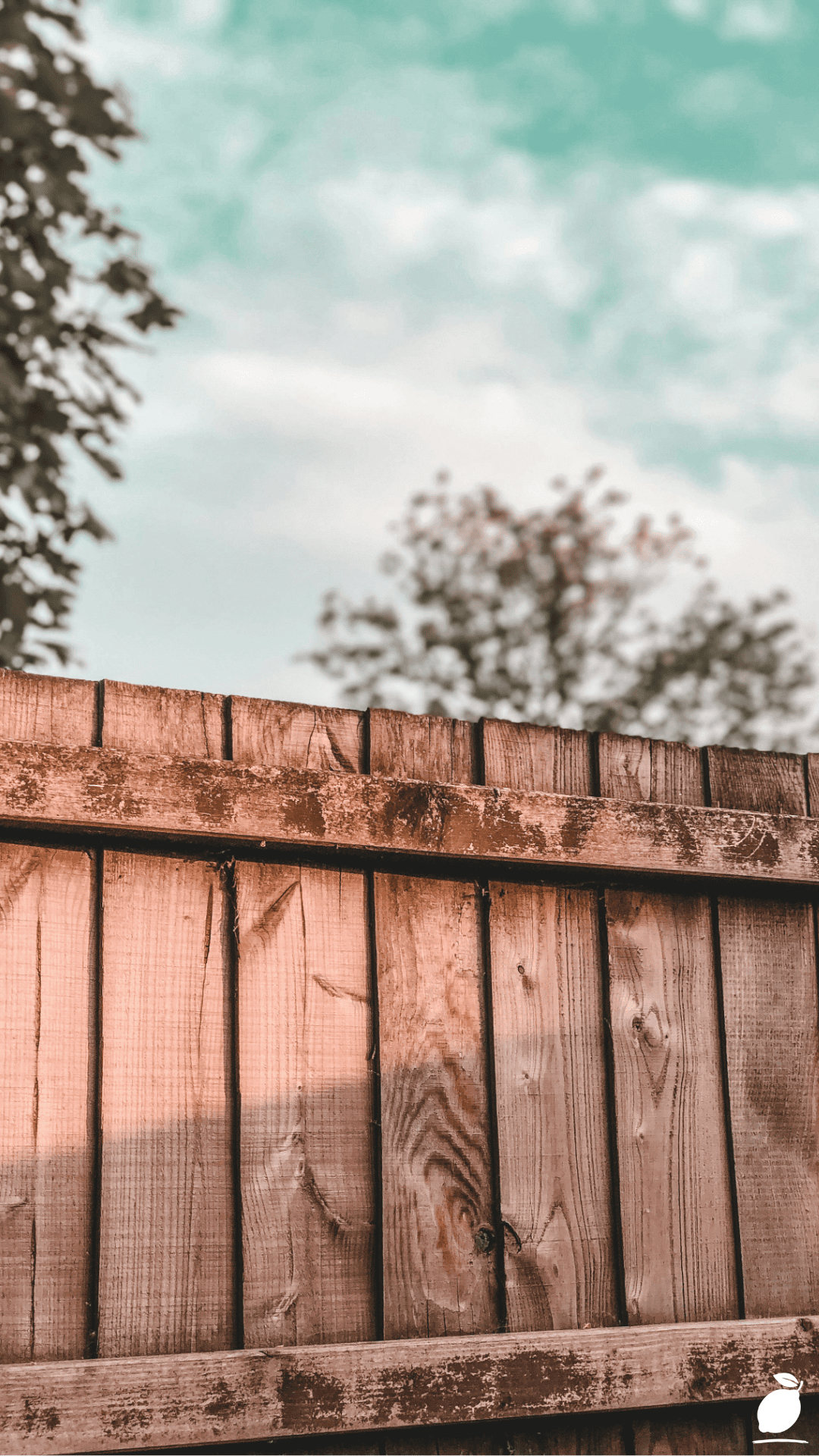 How I Used Backyard Privacy Fence Ideas