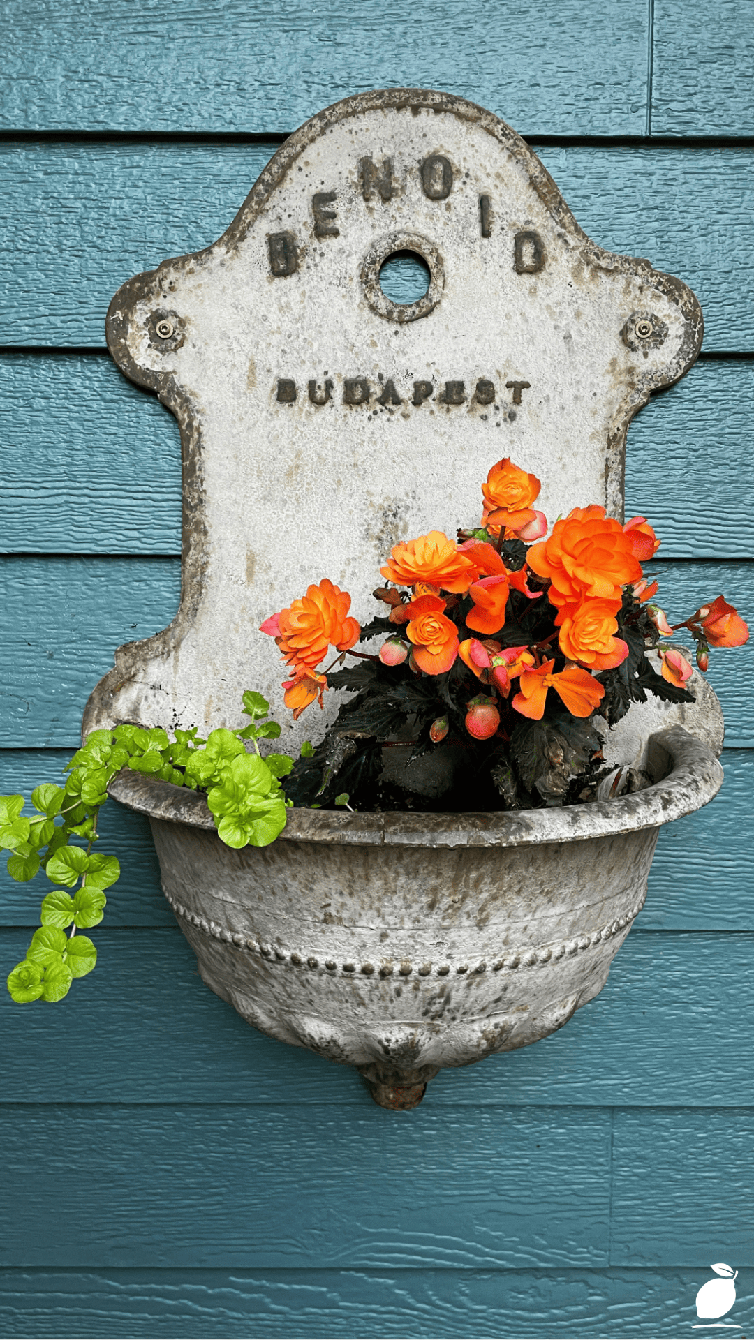I Fixed My Porch with Flowers Container Garden Ideas