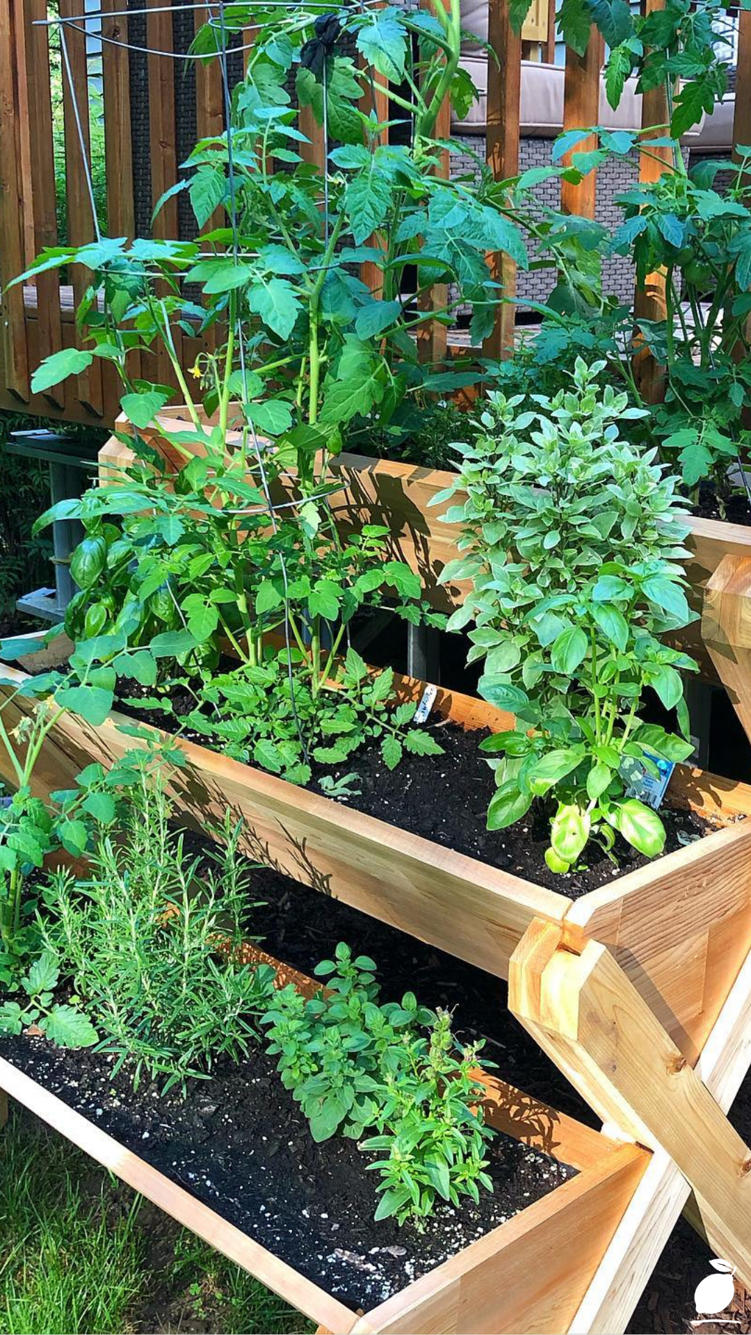 I Upgraded My Patio with Vegetables Container Gardening Ideas