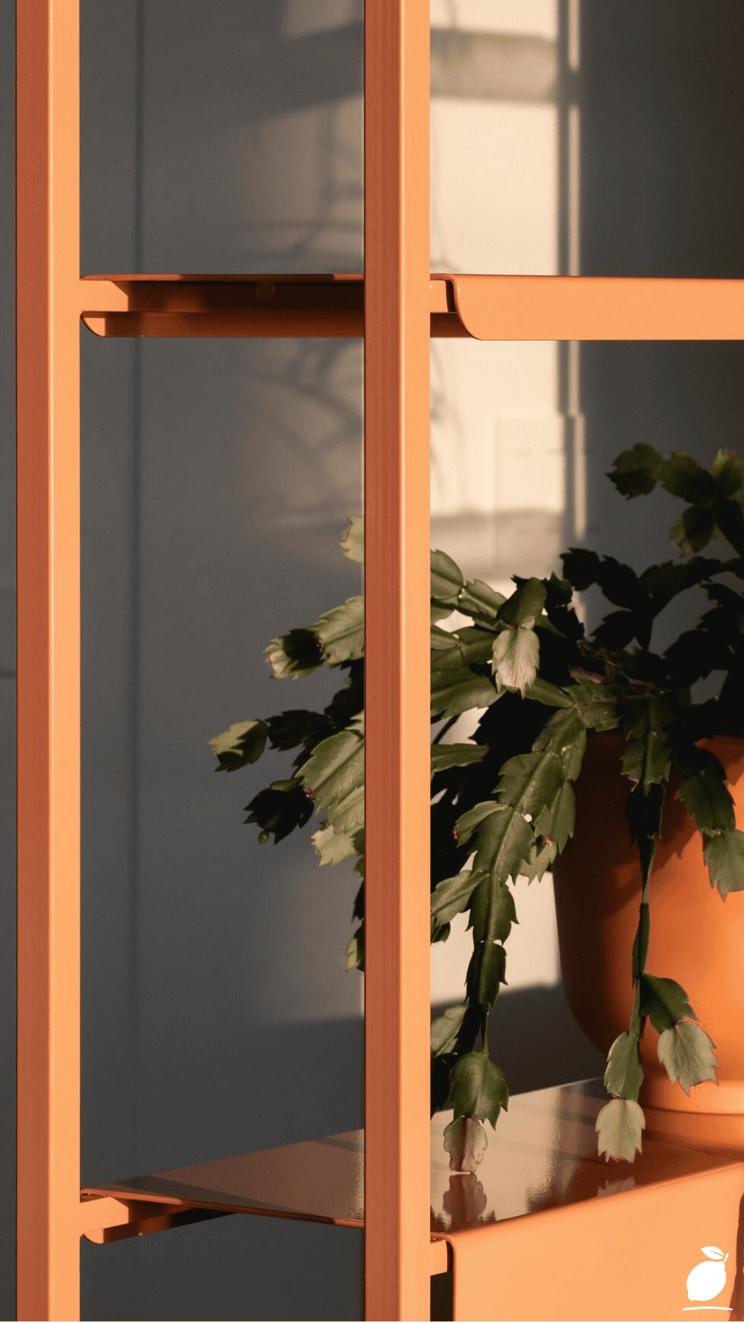 DIY Plant Wall Divider That Transforms Any Room