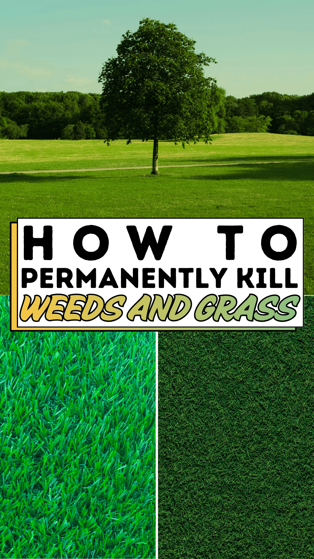 How to Permanently Kill Weeds and Grass