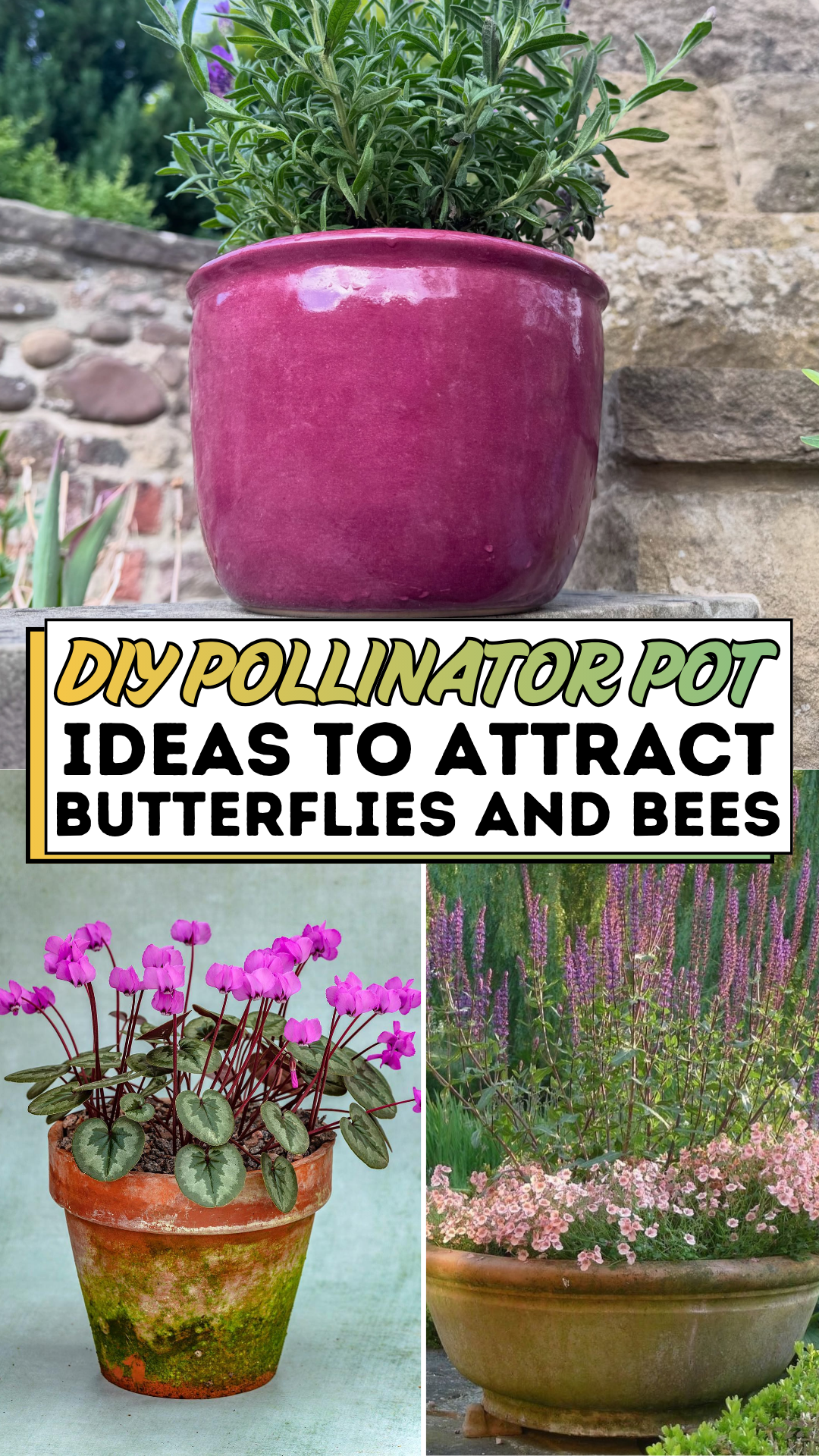 Diy Pollinator Pot Ideas to Attract Butterflies and Bees