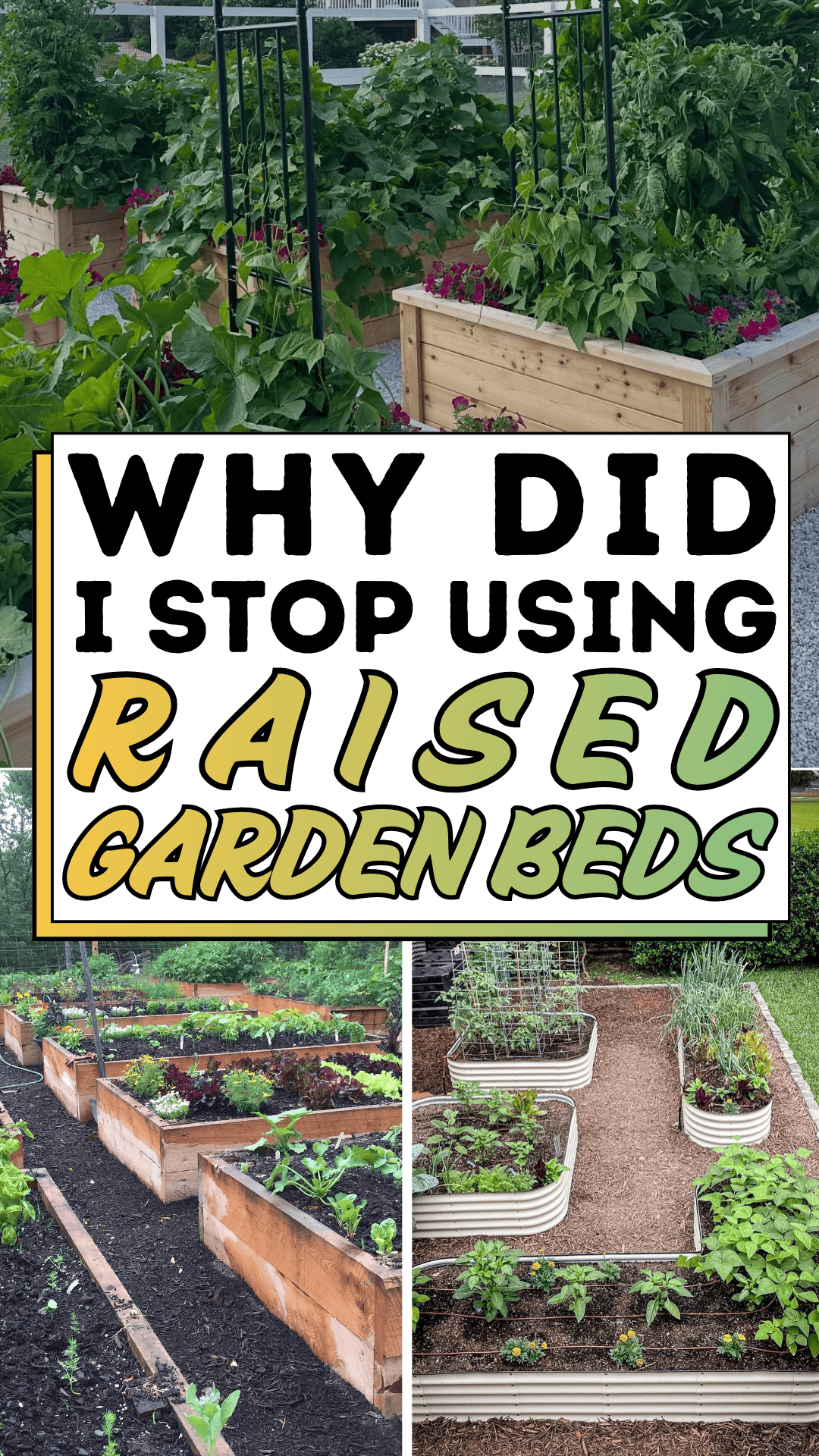 Why Did I Stop Using Raised Garden Beds?