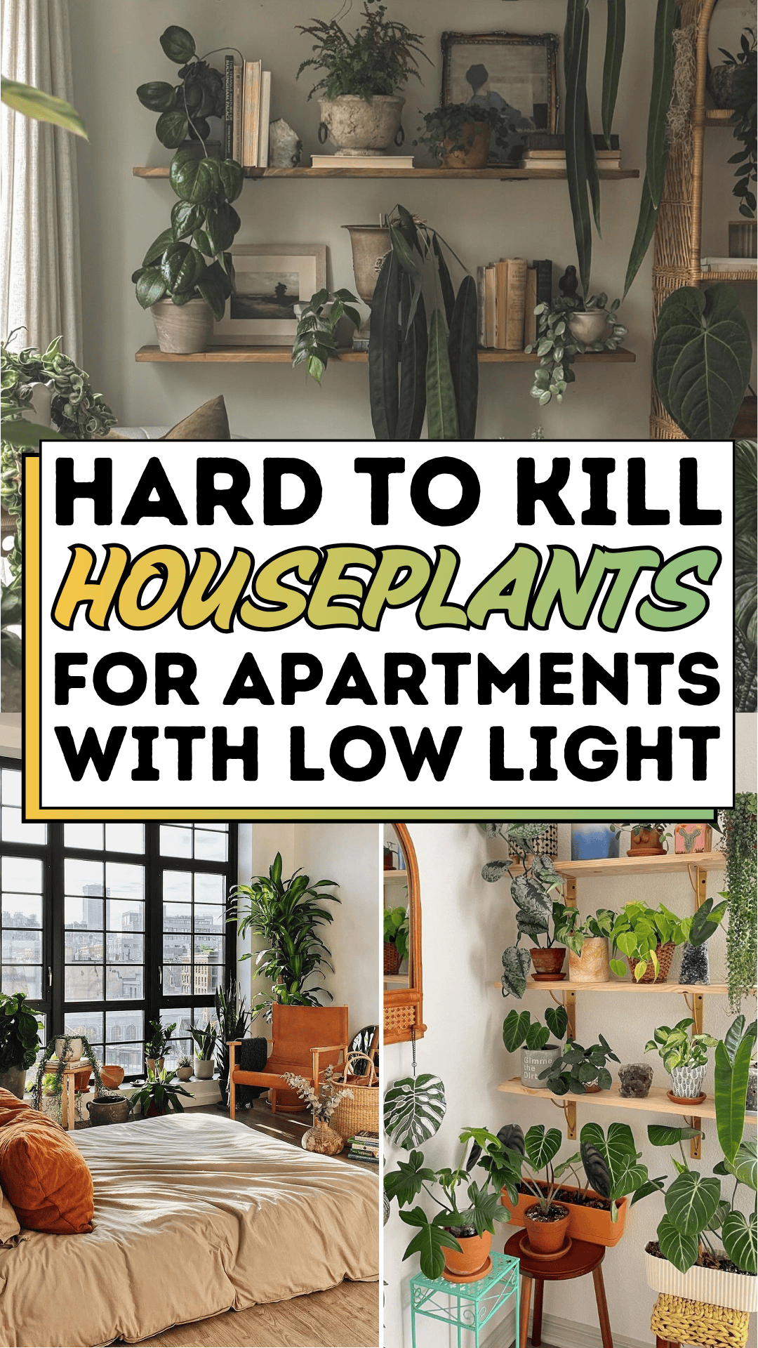 Hard-to-kill Houseplants For Apartments With Low Light
