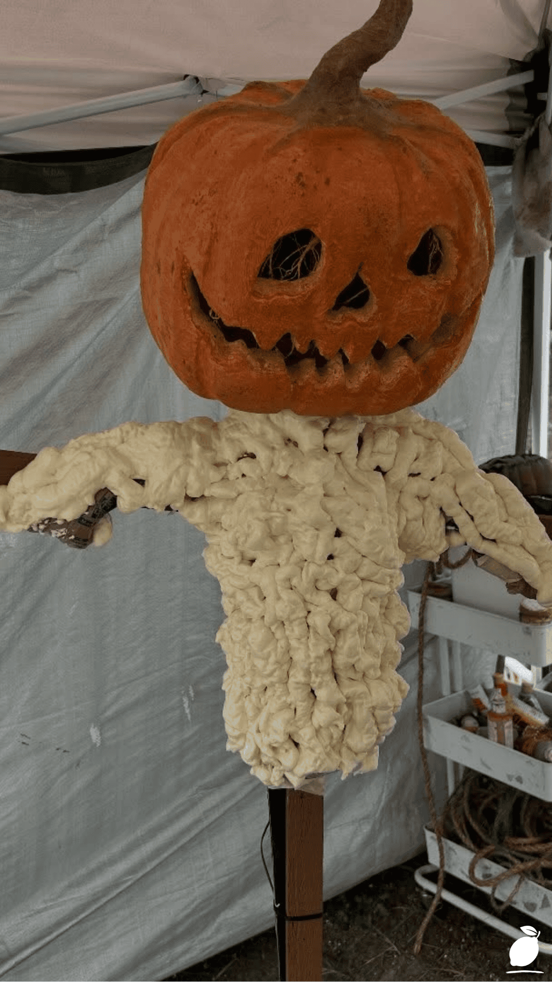 DIY Scarecrows for Garden
