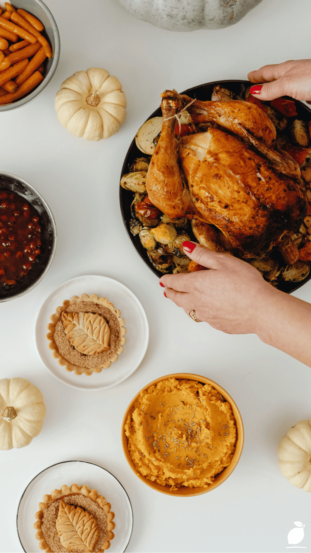 Thanksgiving Potluck Hosting Tips