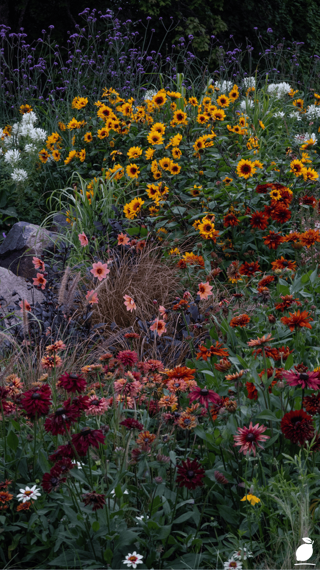 Perennials That Come Back Stronger Every Year