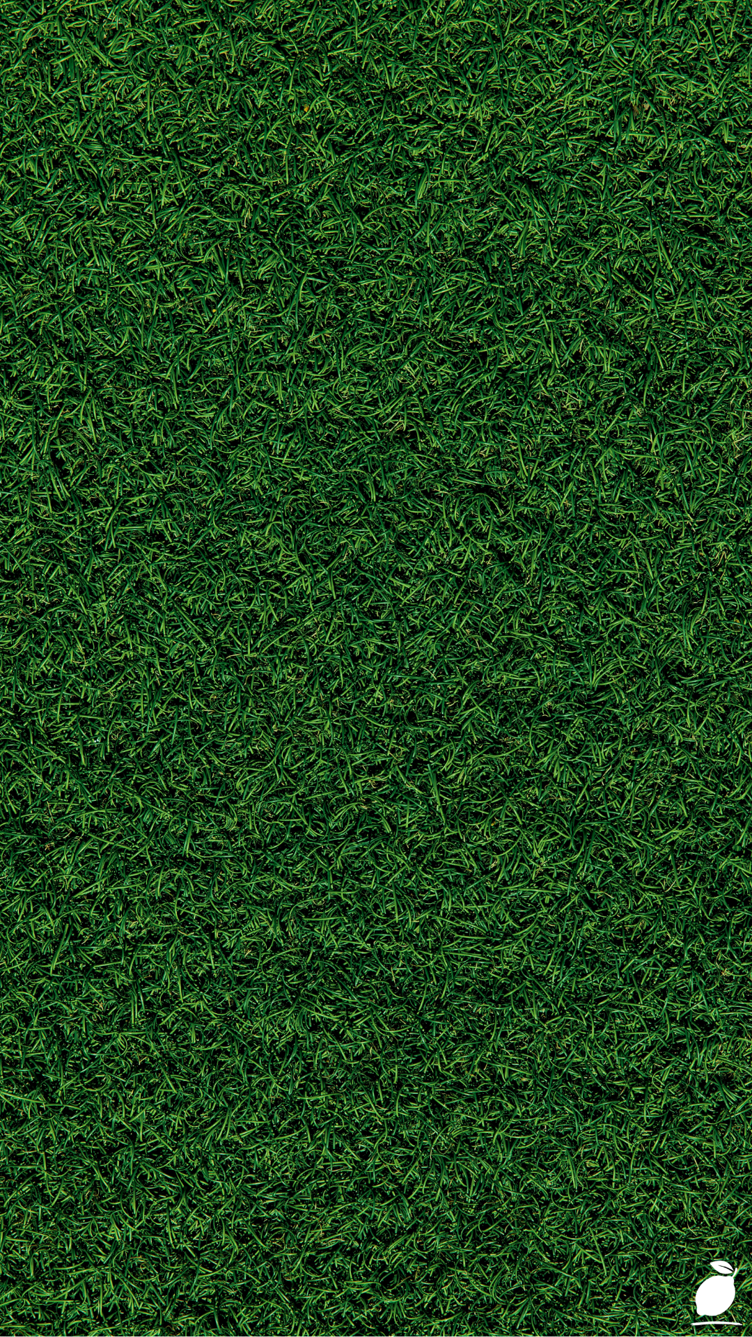 How to Permanently Kill Weeds and Grass