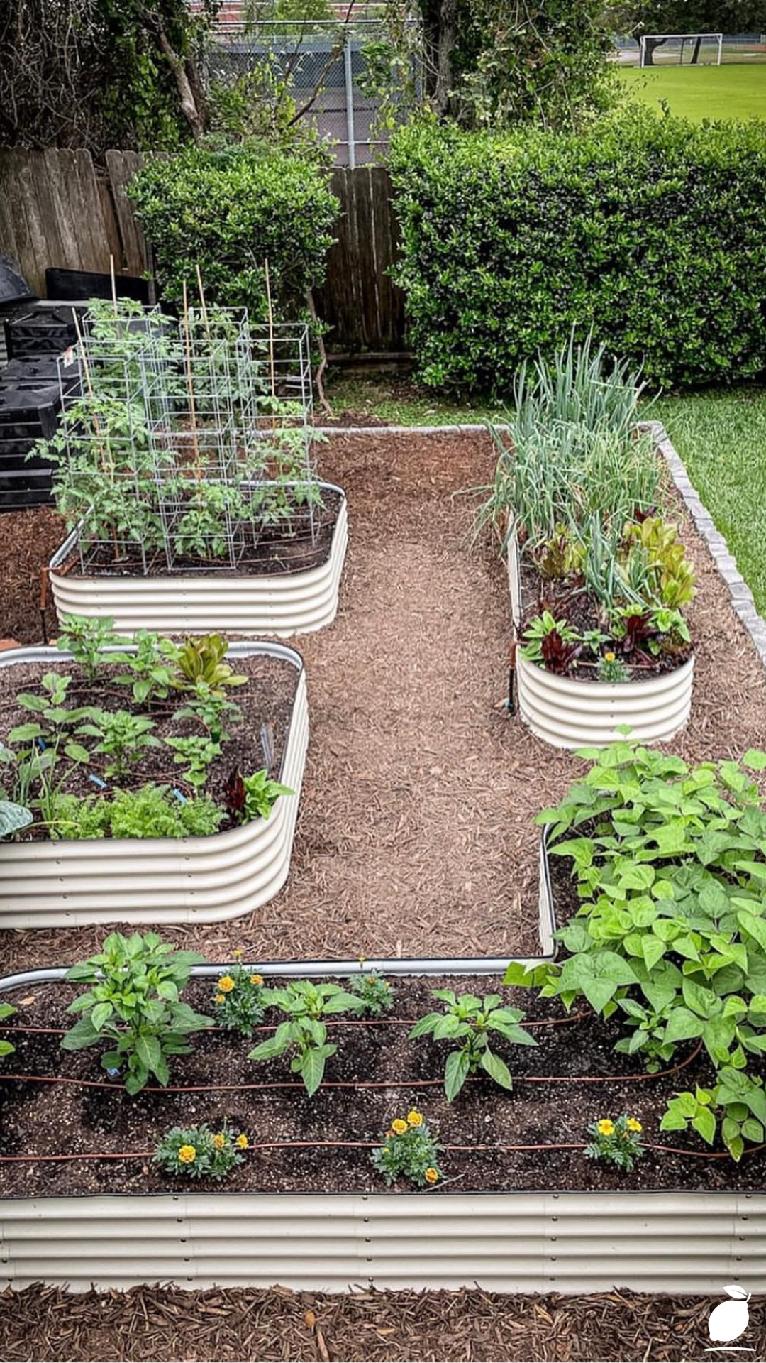 Why Did I Stop Using Raised Garden Beds?