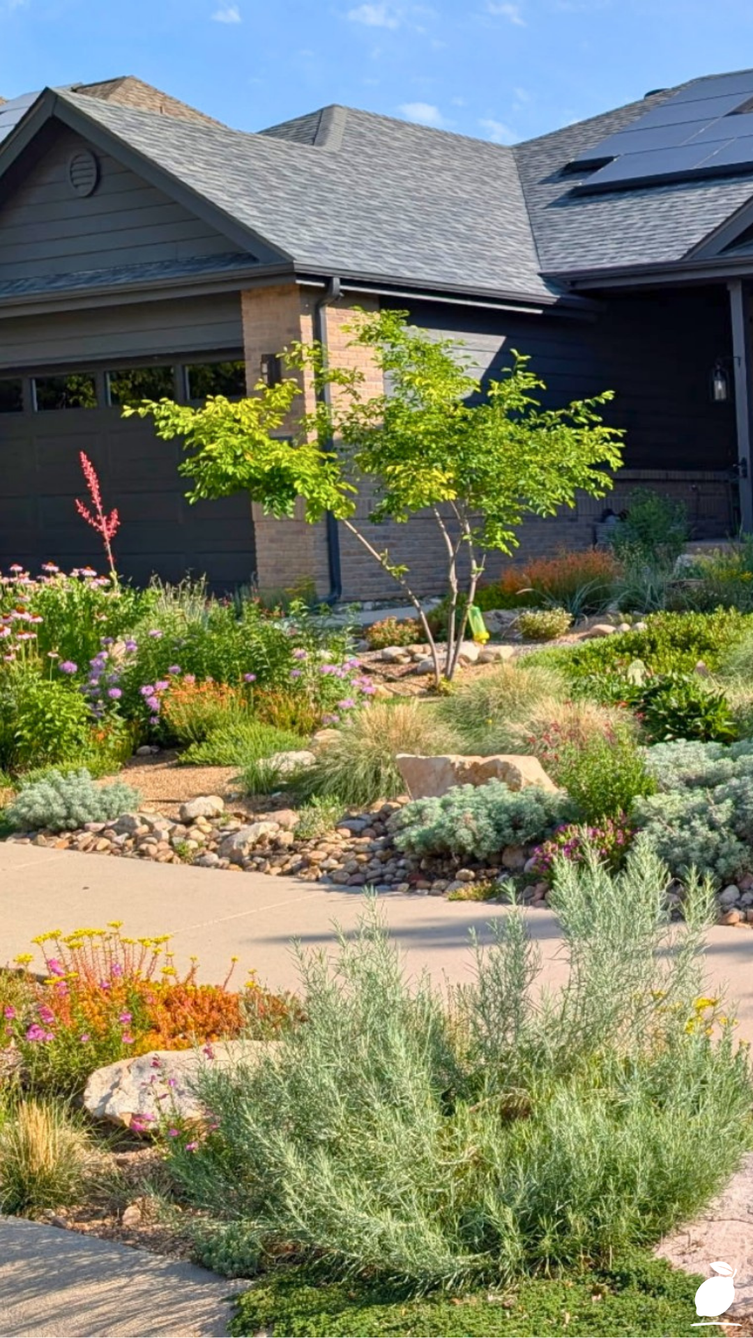Low-Maintenance Plants for Front Yard