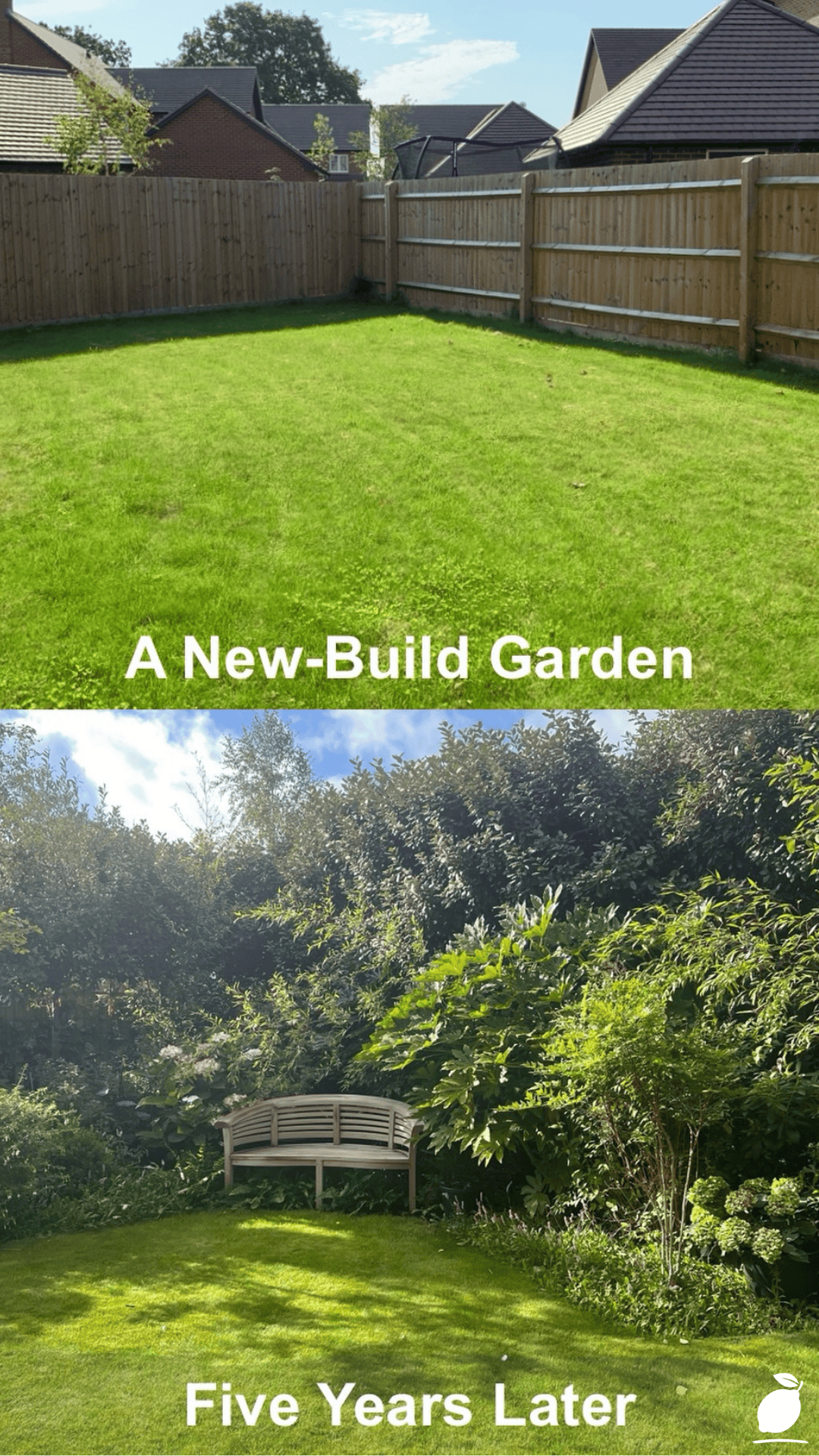 Backyard Upgrades on a Budget