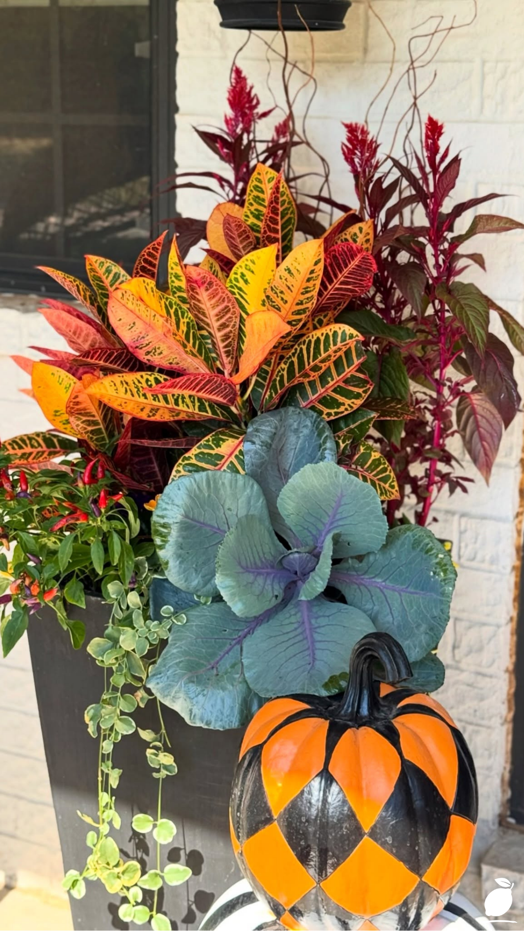 Fall Planter Ideas for Your Porch or Patio