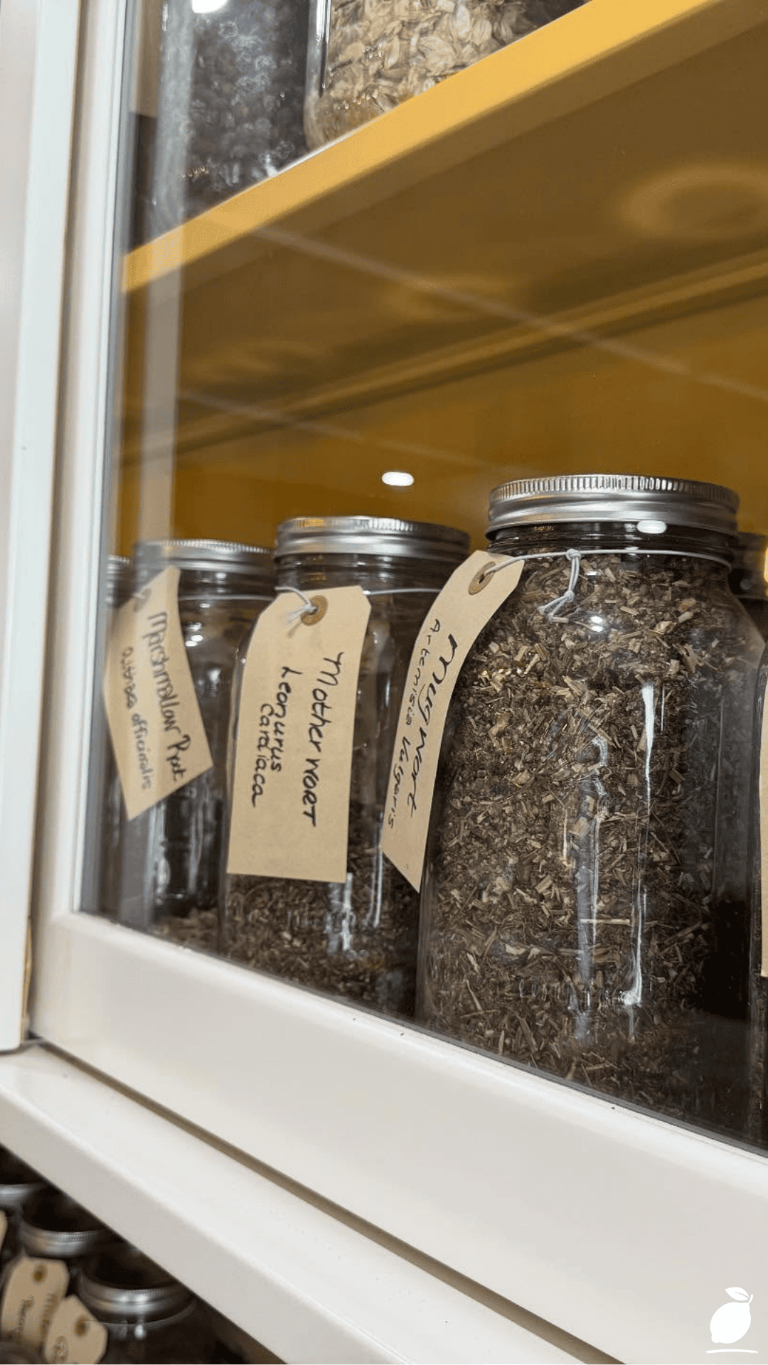 Witchy Apothecary Kitchen Design Ideas
